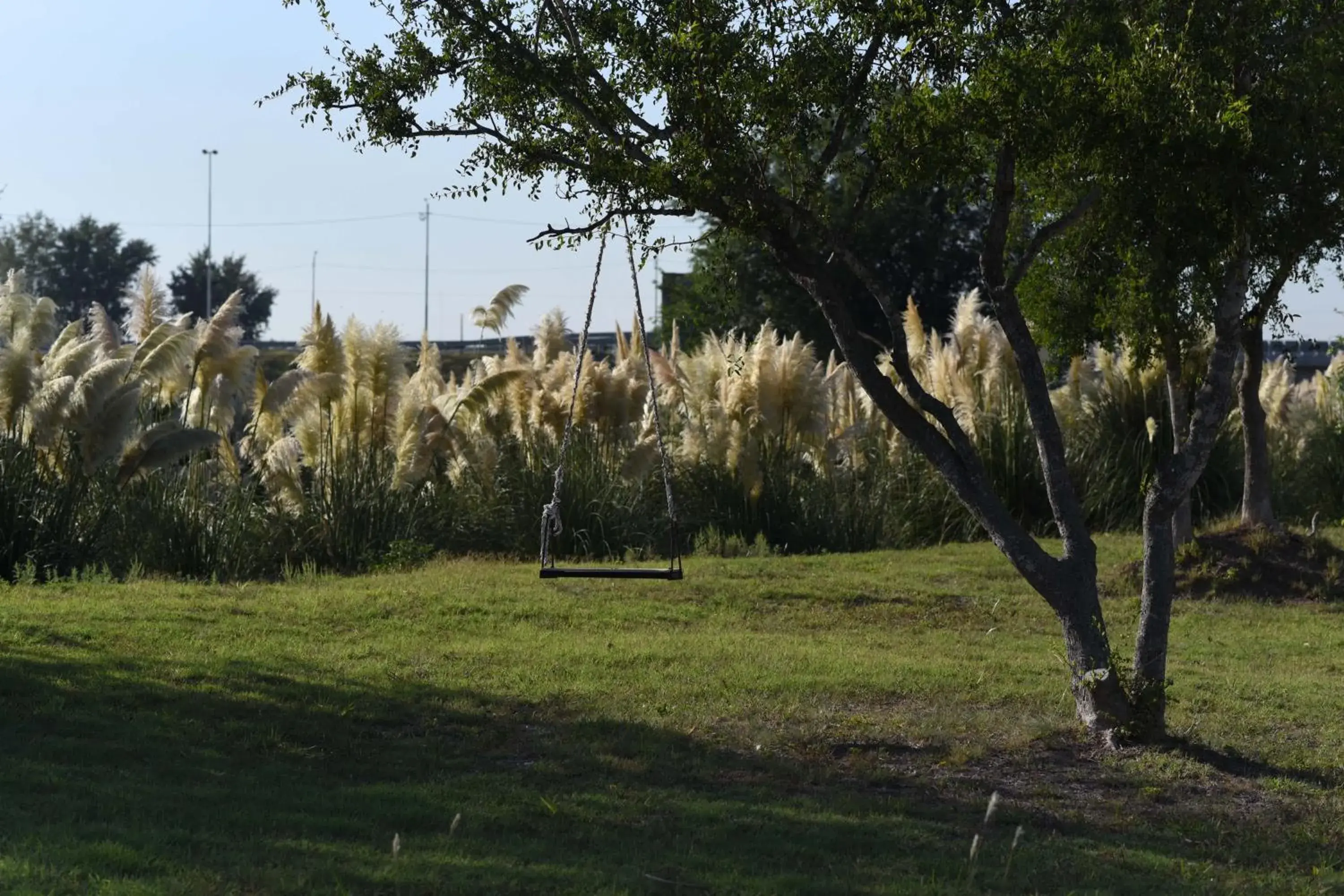 Garden in Howard Johnson Hotel & Convention Center Ezeiza