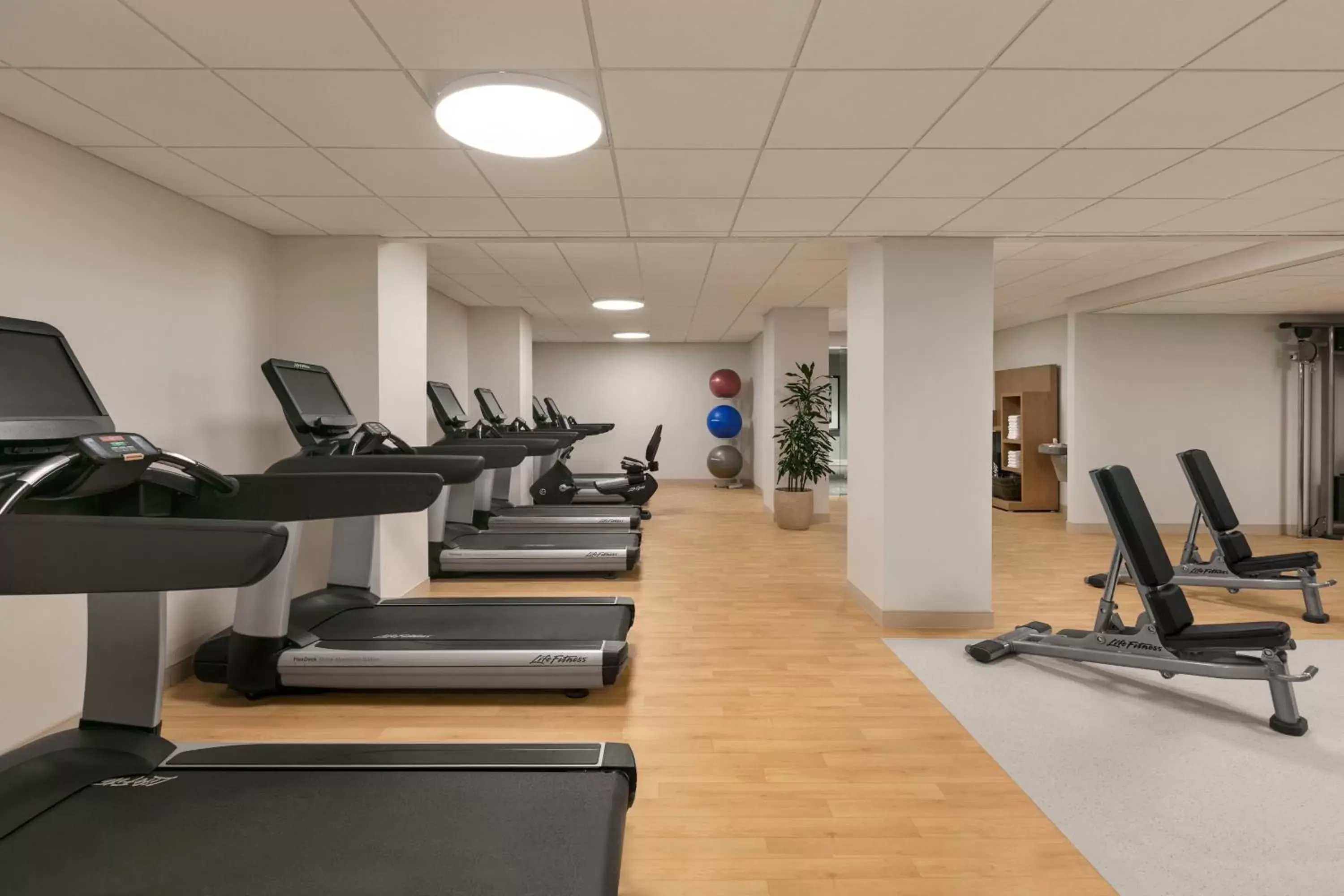 Fitness centre/facilities, Fitness Center/Facilities in Sheraton Raleigh Hotel