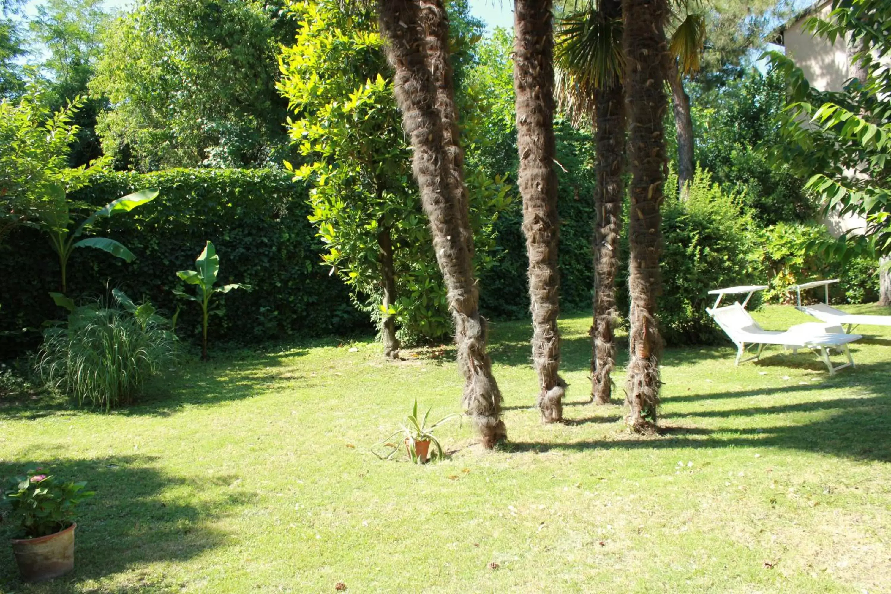 Inner courtyard view, Garden in Ai Giardini di San Vitale