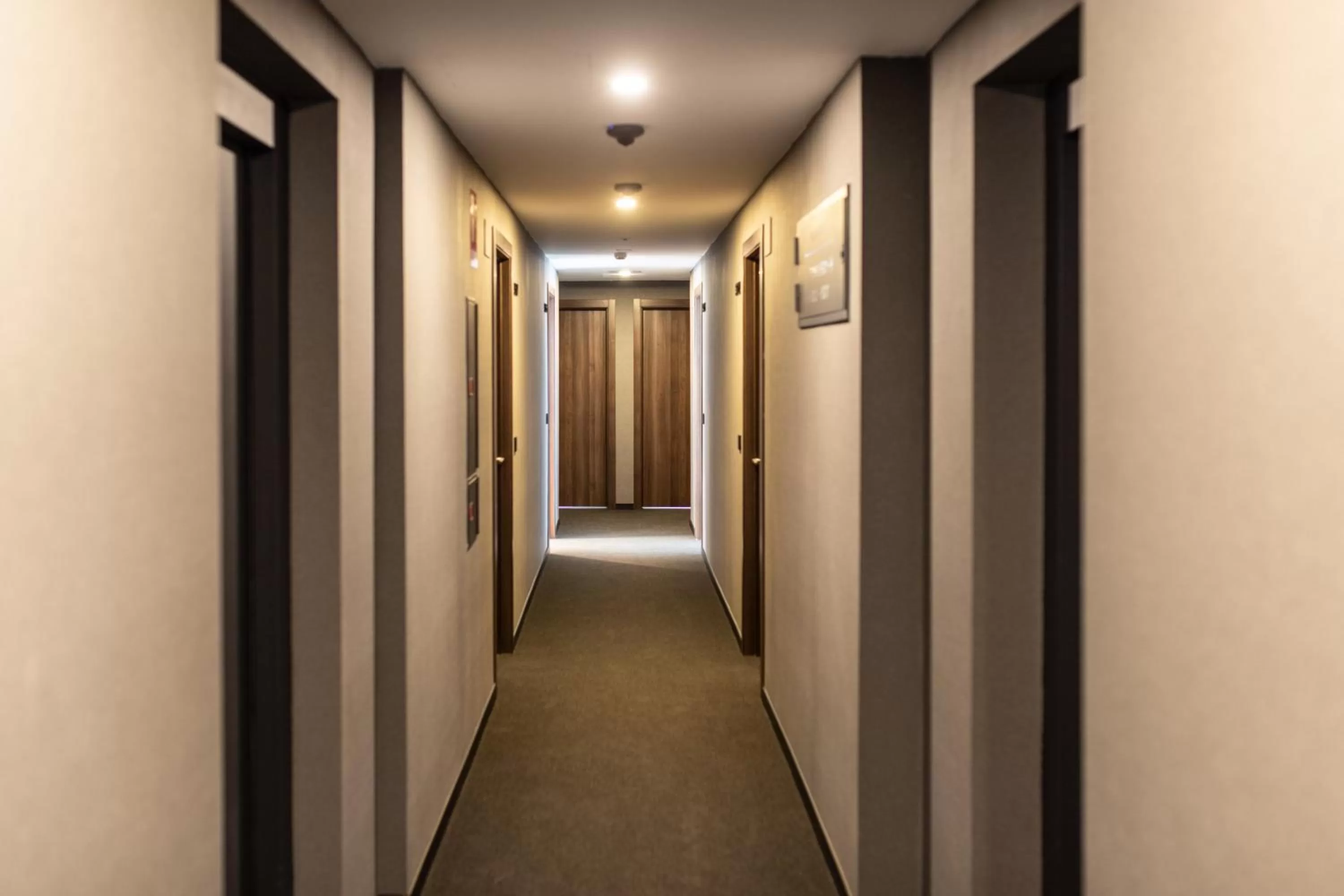 Decorative detail in Ramirez Flats Valencia