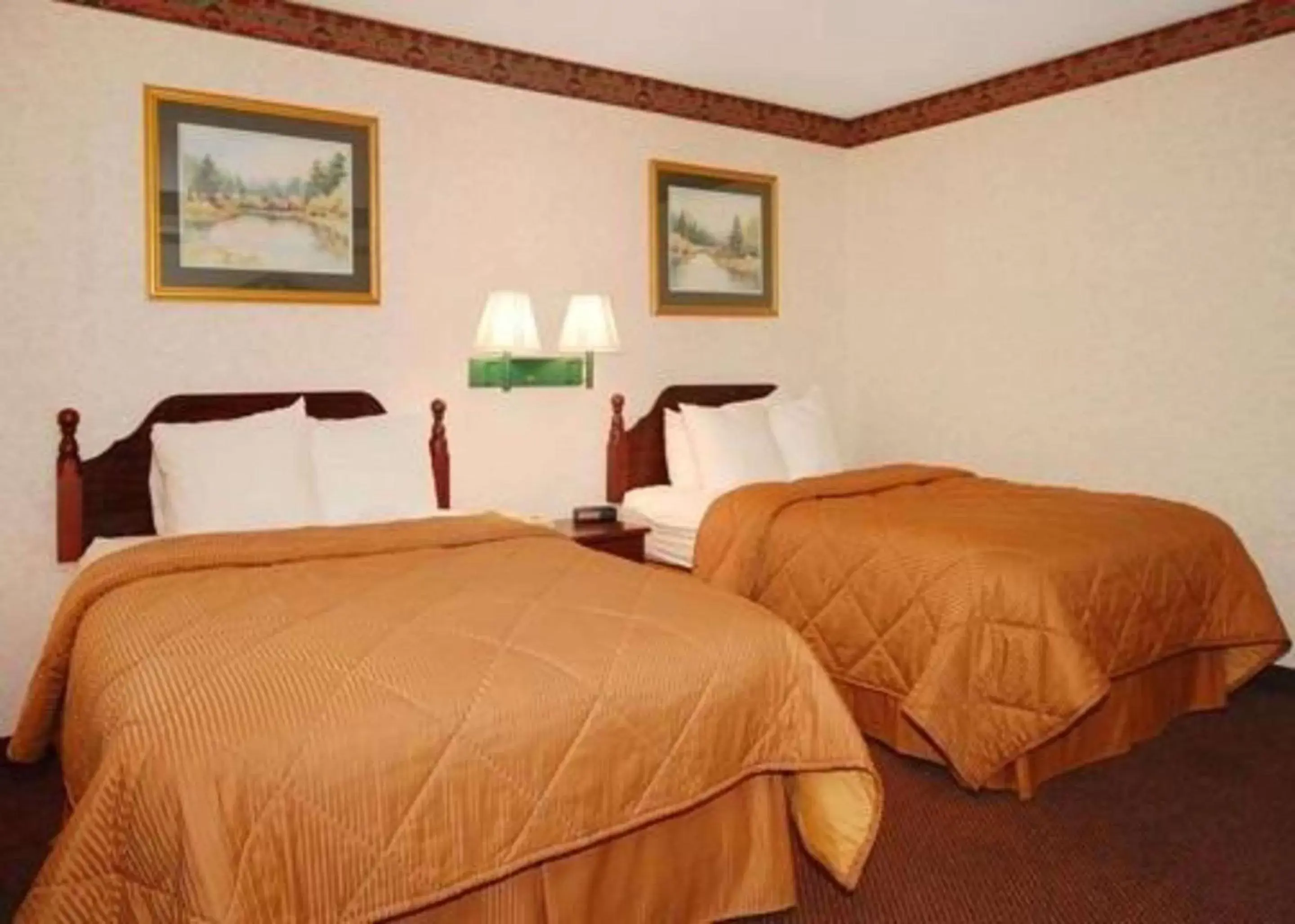 Photo of the whole room, Bed in Quality Inn & Suites Tarboro - Kingsboro