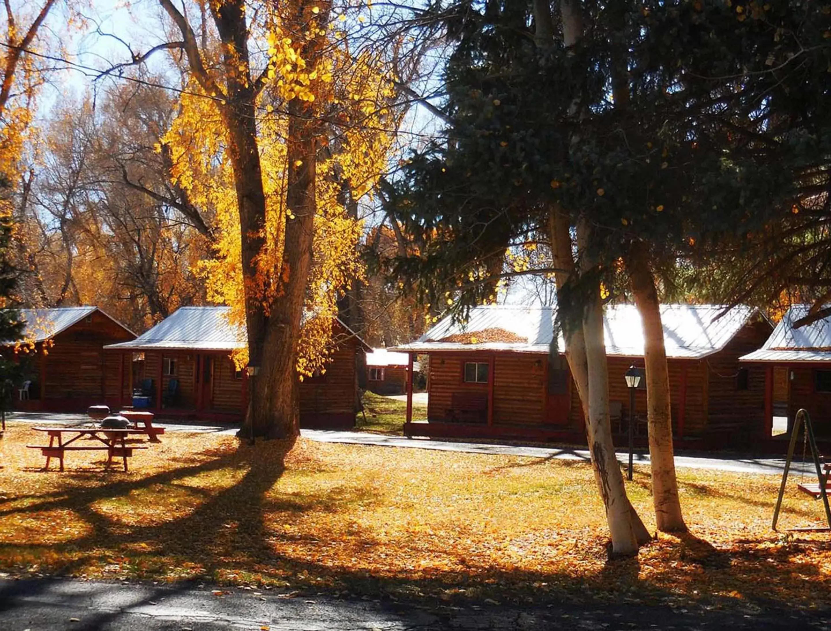 BBQ facilities, Garden in Elkhorn Lodge