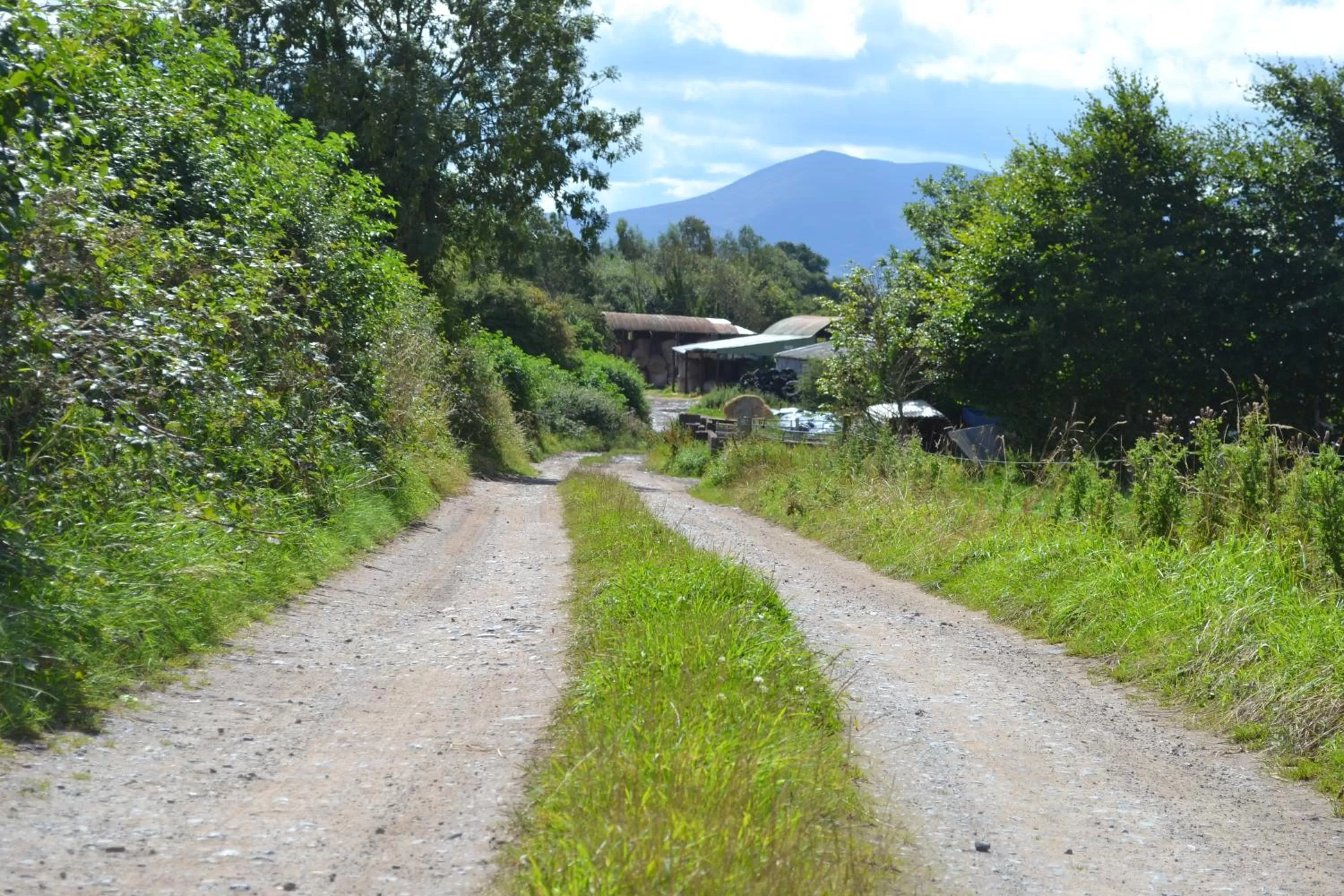 Natural landscape in Annaswood B&B