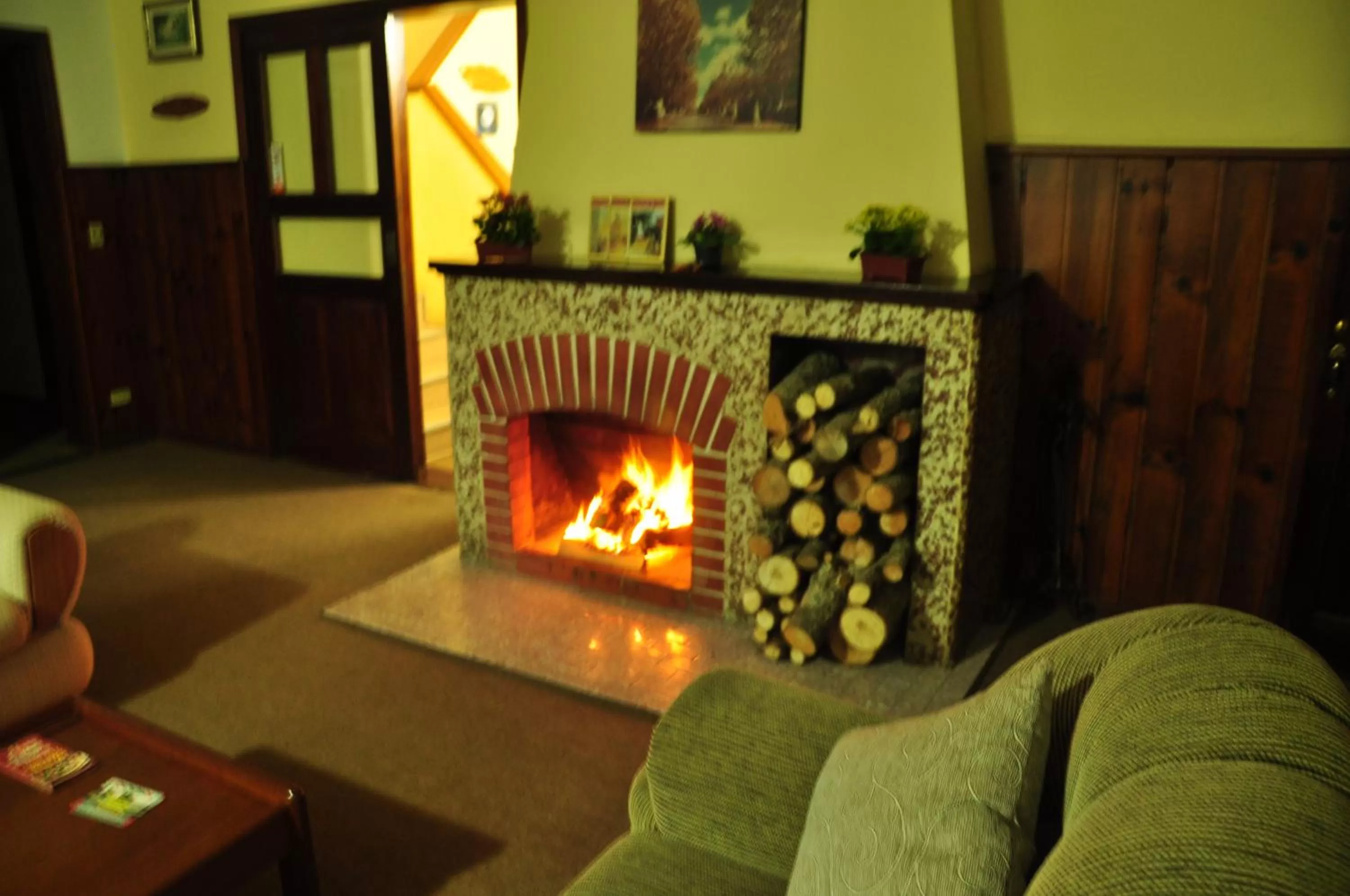 Communal lounge/ TV room, Seating Area in Pousada Curumi