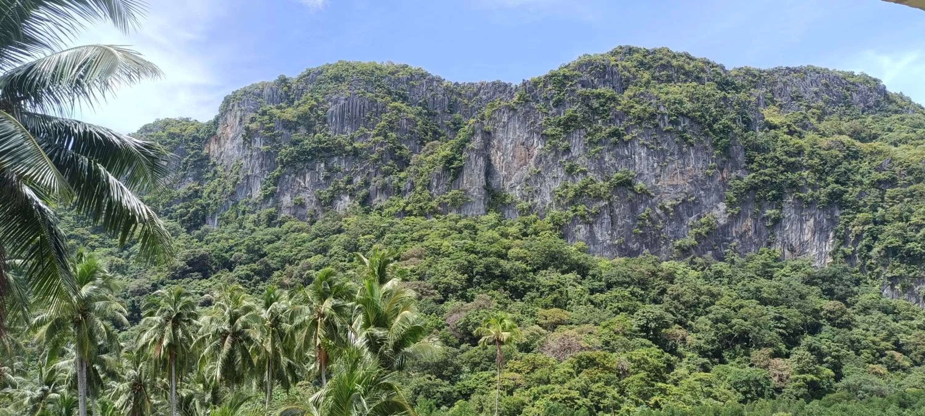 Property building in One El Nido Suite