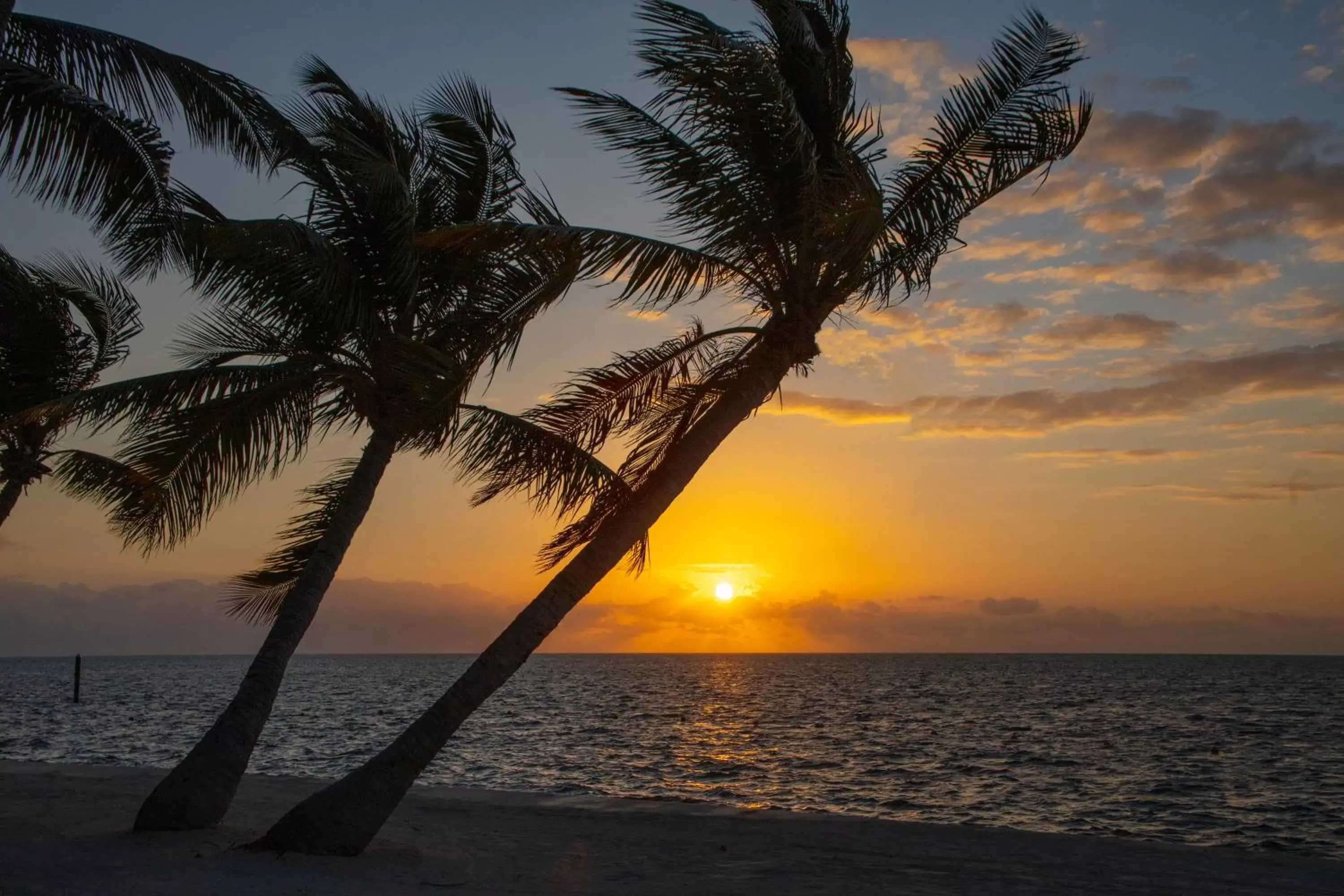 Beach, Sunrise/Sunset in Amara Cay Resort