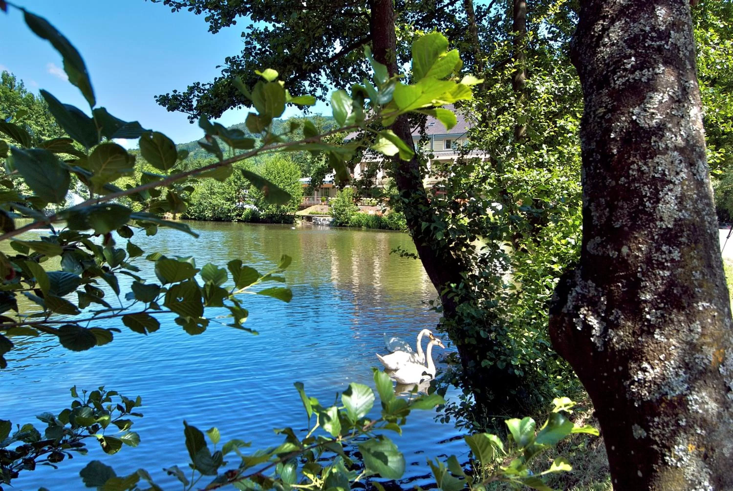 Area and facilities in Hôtel Les Rives