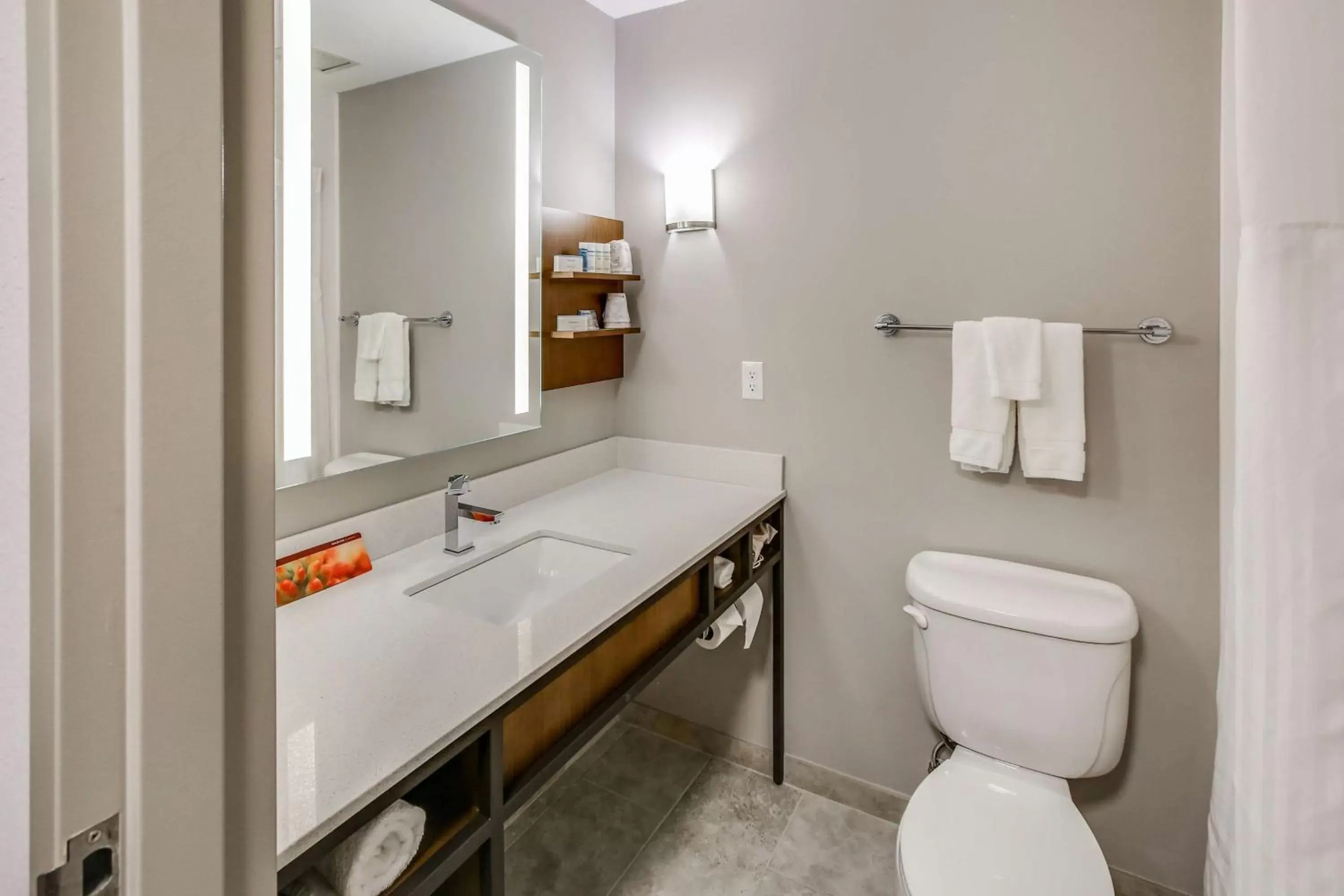 Bathroom in Hilton Garden Inn Ames