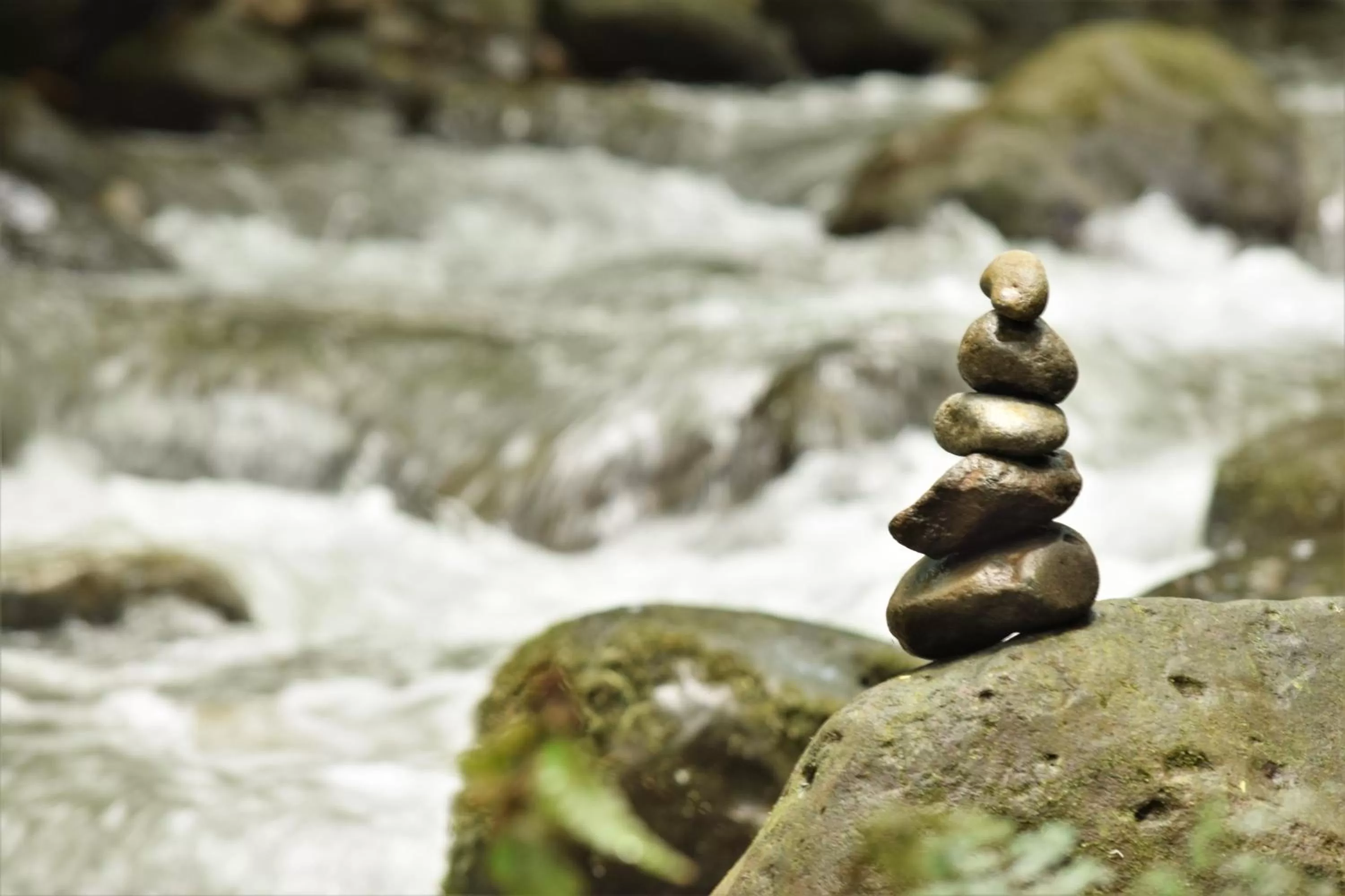 Off site in Cabañas del Rio