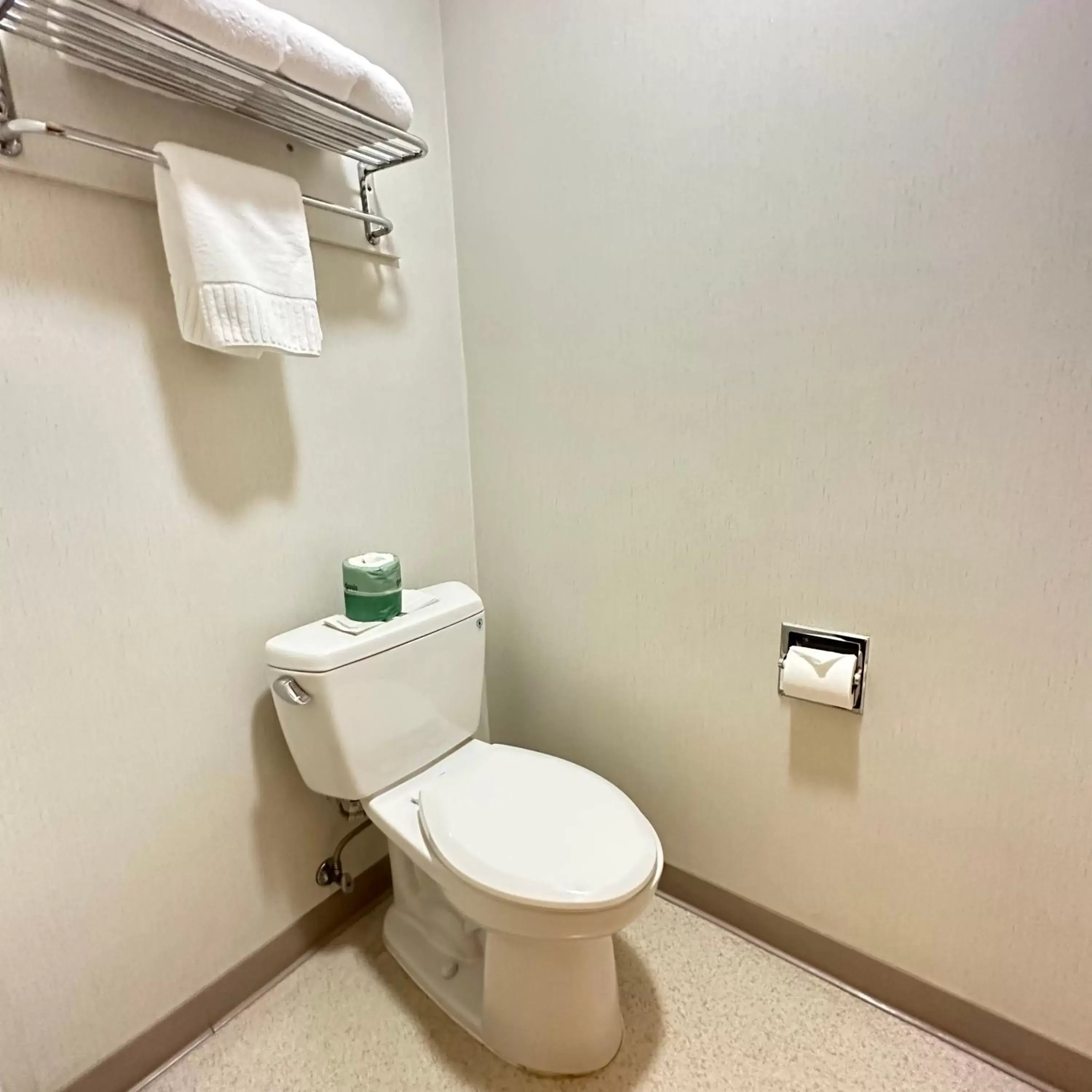 Toilet, Bathroom in Timberland Inn & Suites