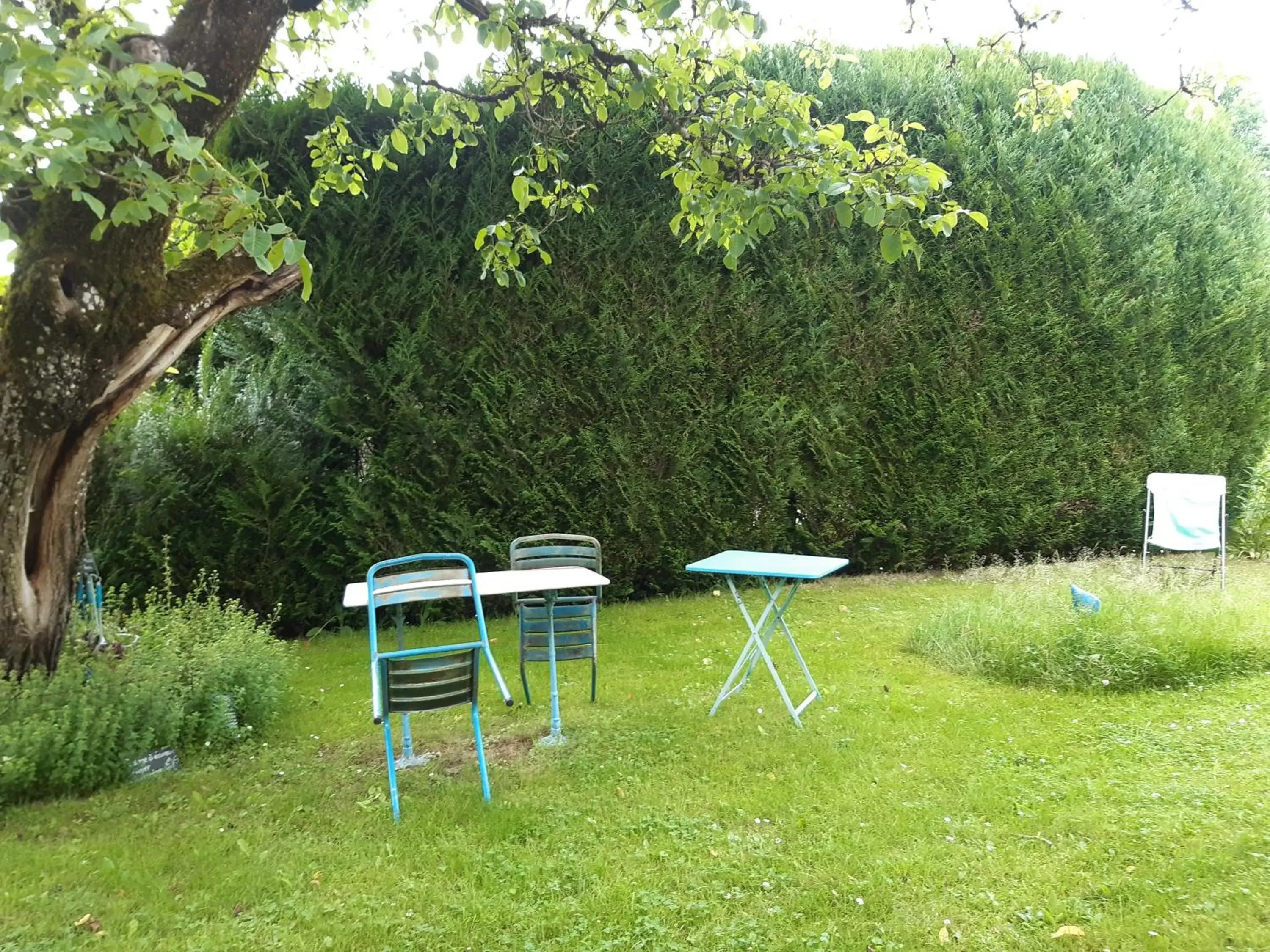 View (from property/room), Garden in le buisson de la gariole ,chambre rhétaise