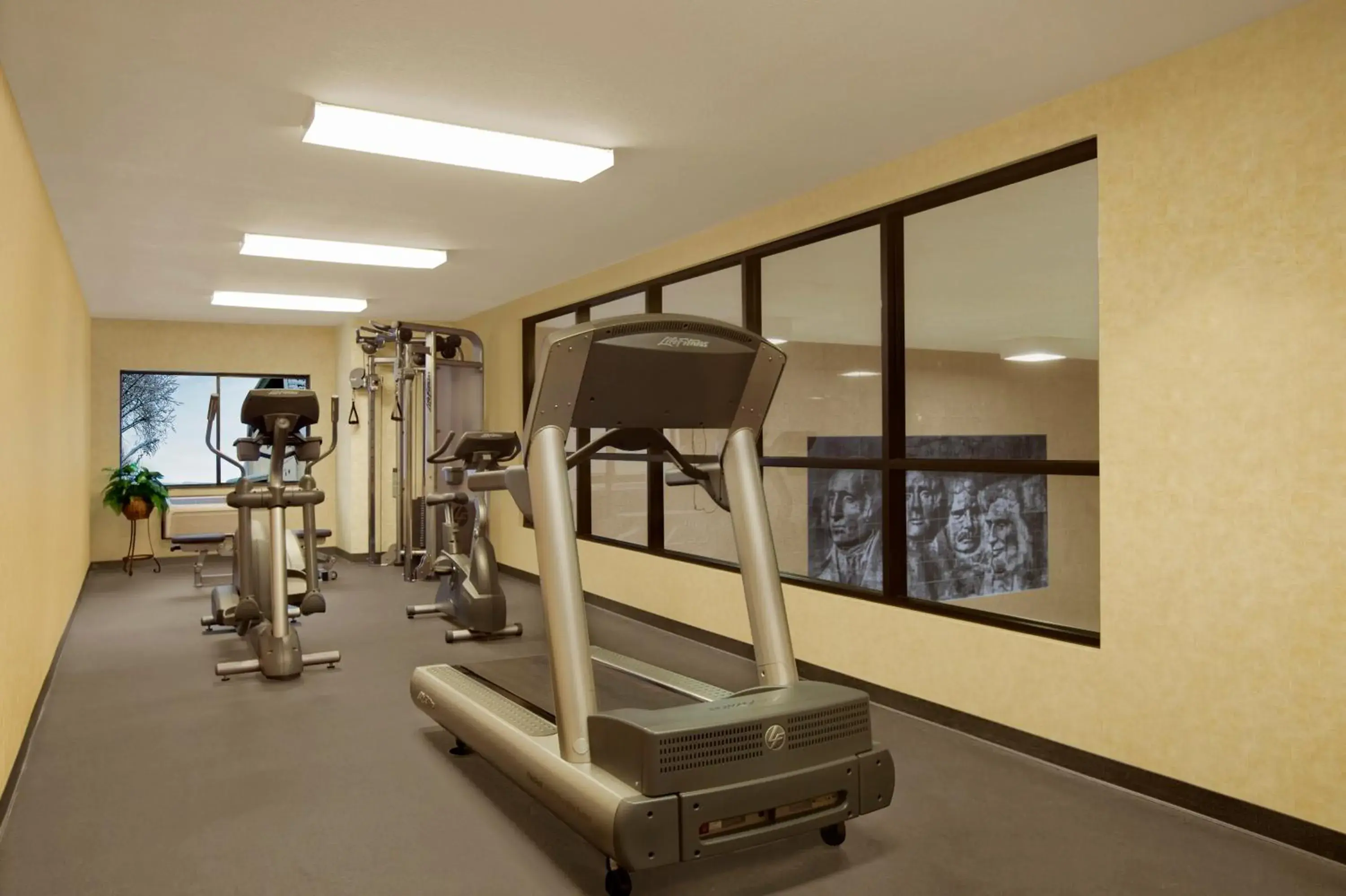 Fitness centre/facilities, Fitness Center/Facilities in Rushmore Express & Suites