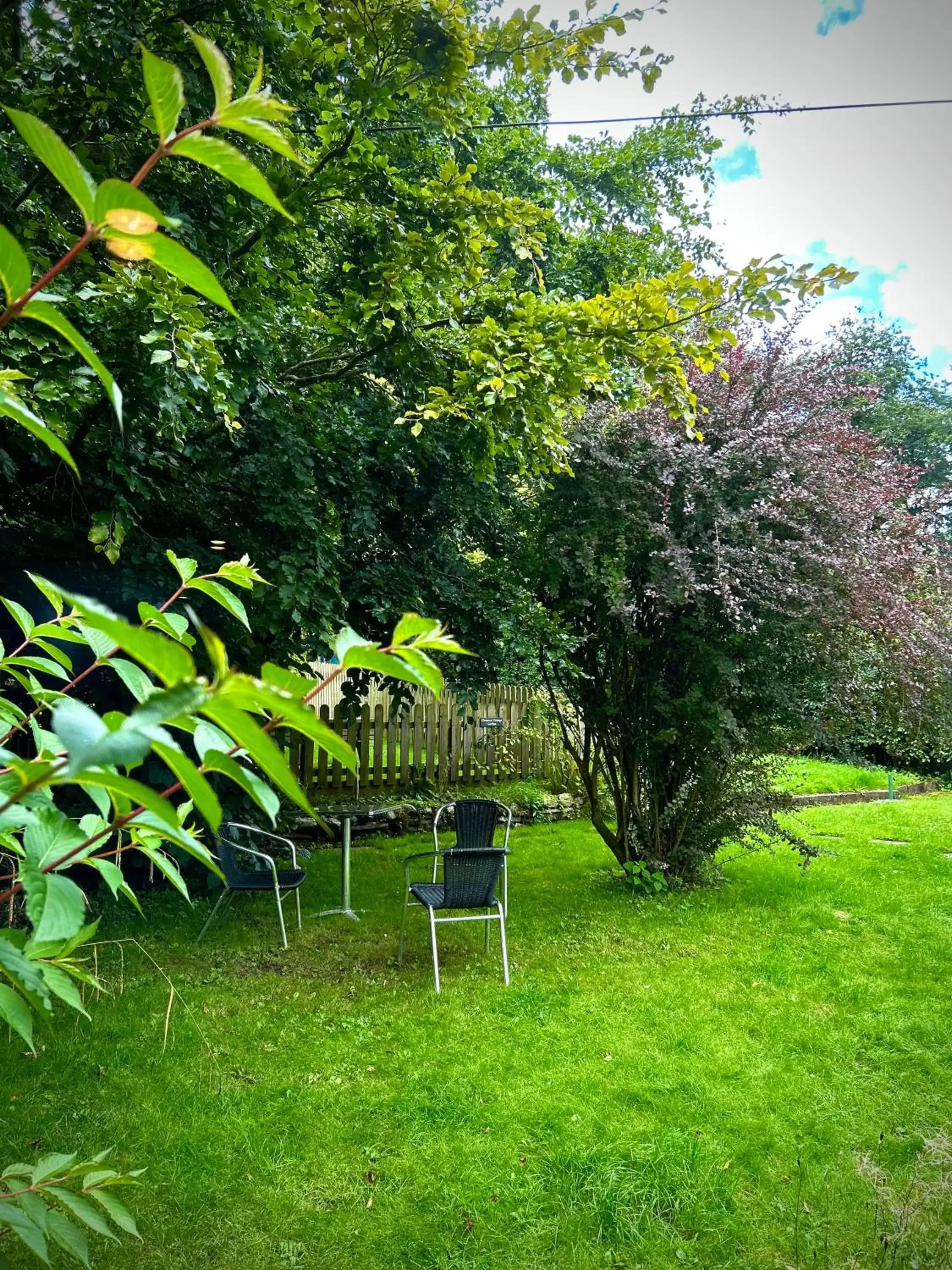 Garden in Royal Oak Appleby