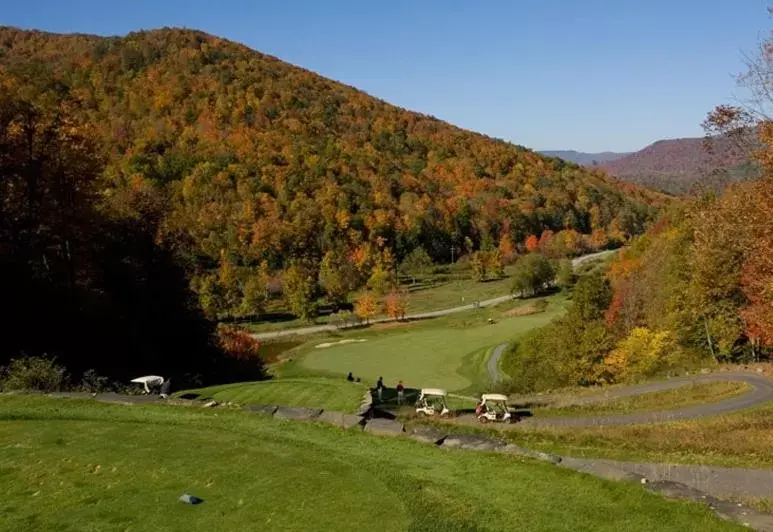 Area and facilities in Allegheny Springs