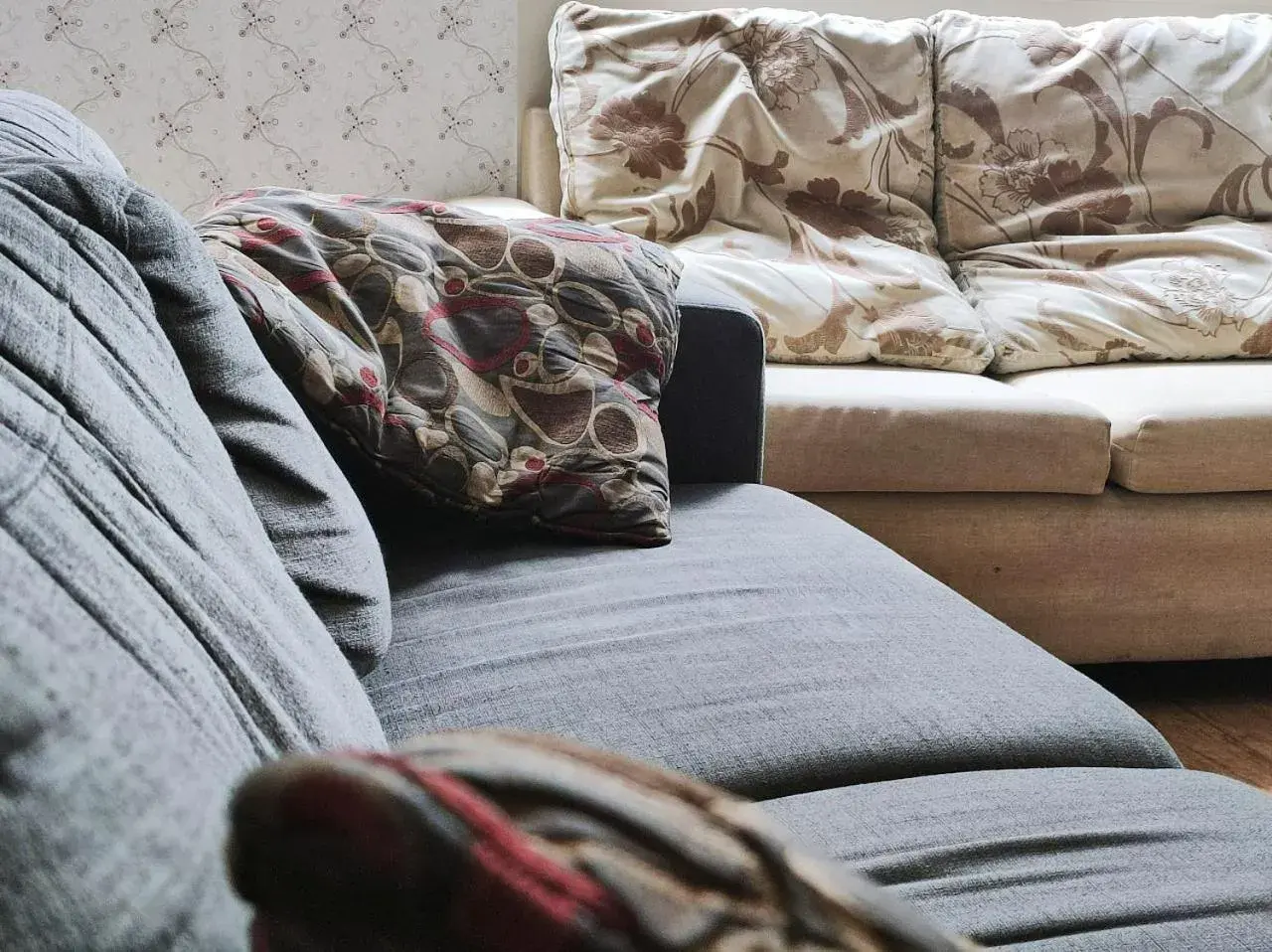 Living room, Bed in Newton Lodge