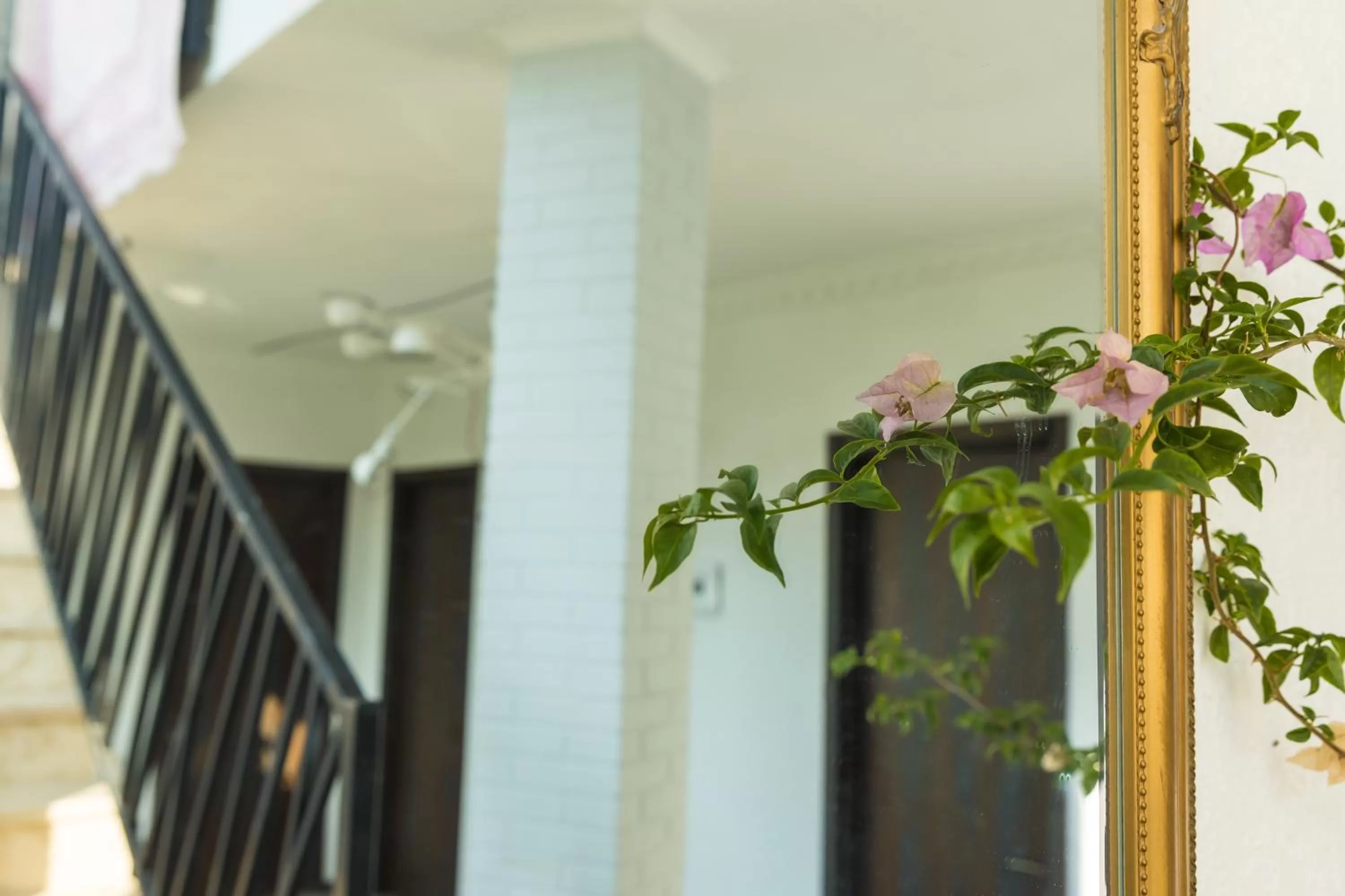 Facade/entrance in TJ GARDENS