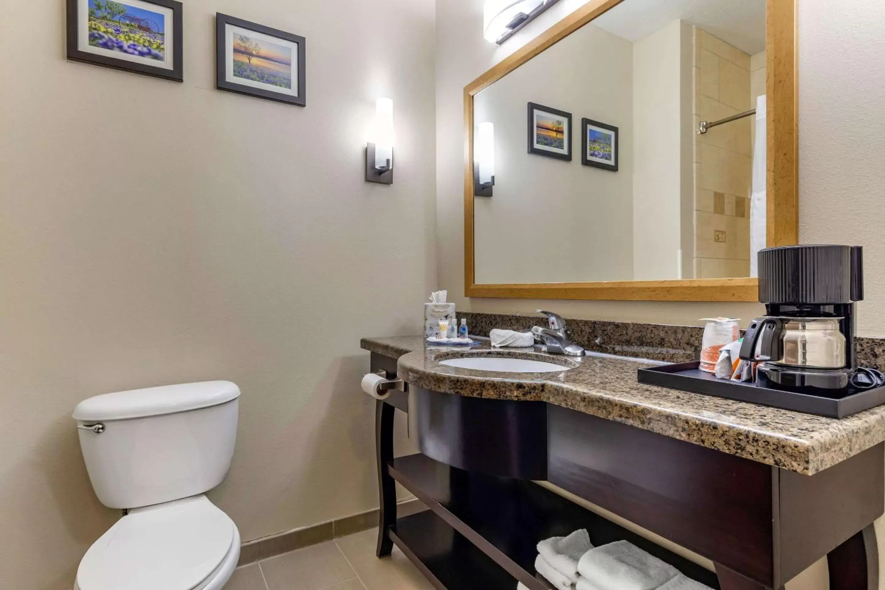 Photo of the whole room, Bathroom in Comfort Inn & Suites Near Lake Lewisville