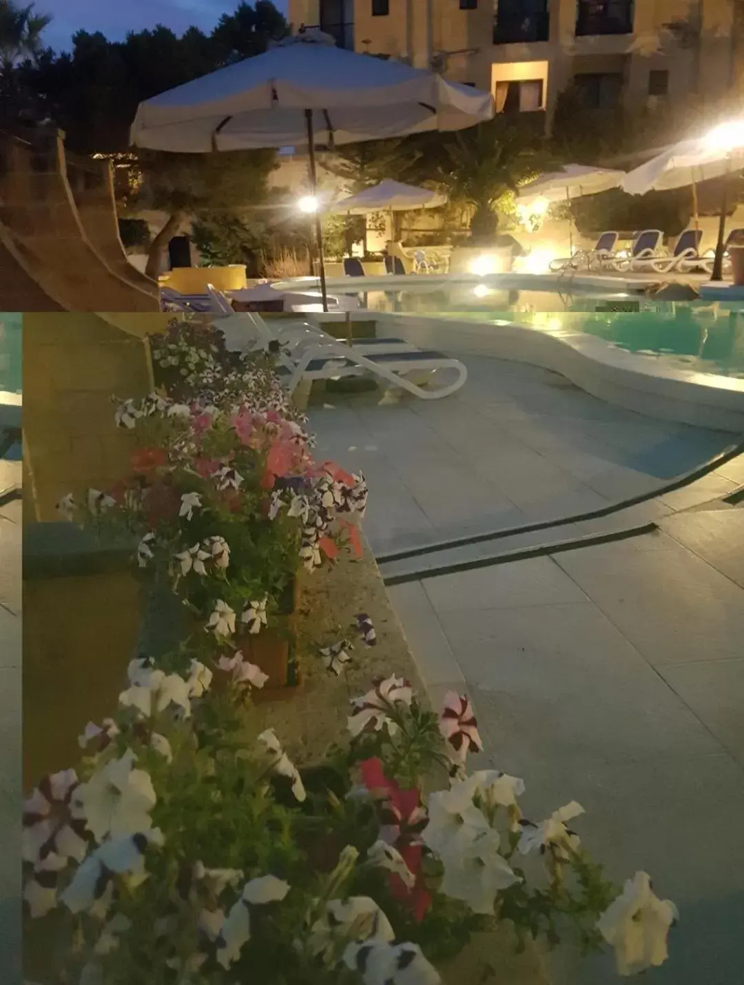 Swimming Pool in Cornucopia Hotel
