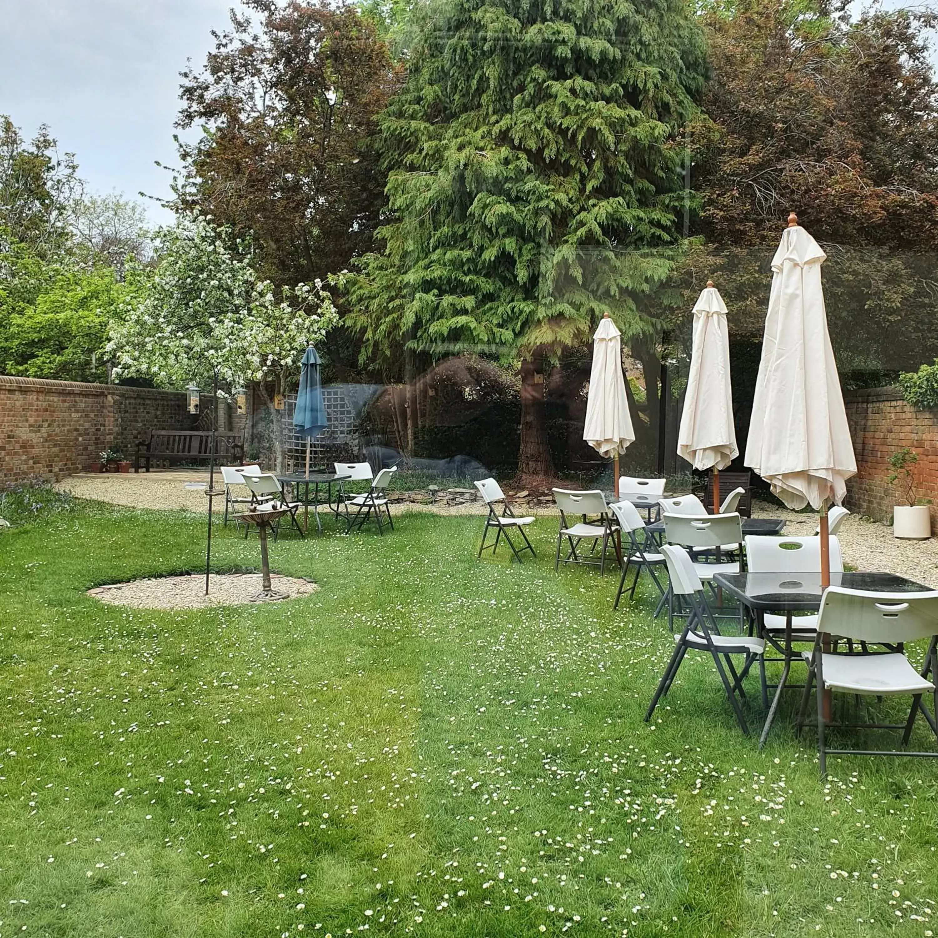 Garden in St Margaret's Hotel