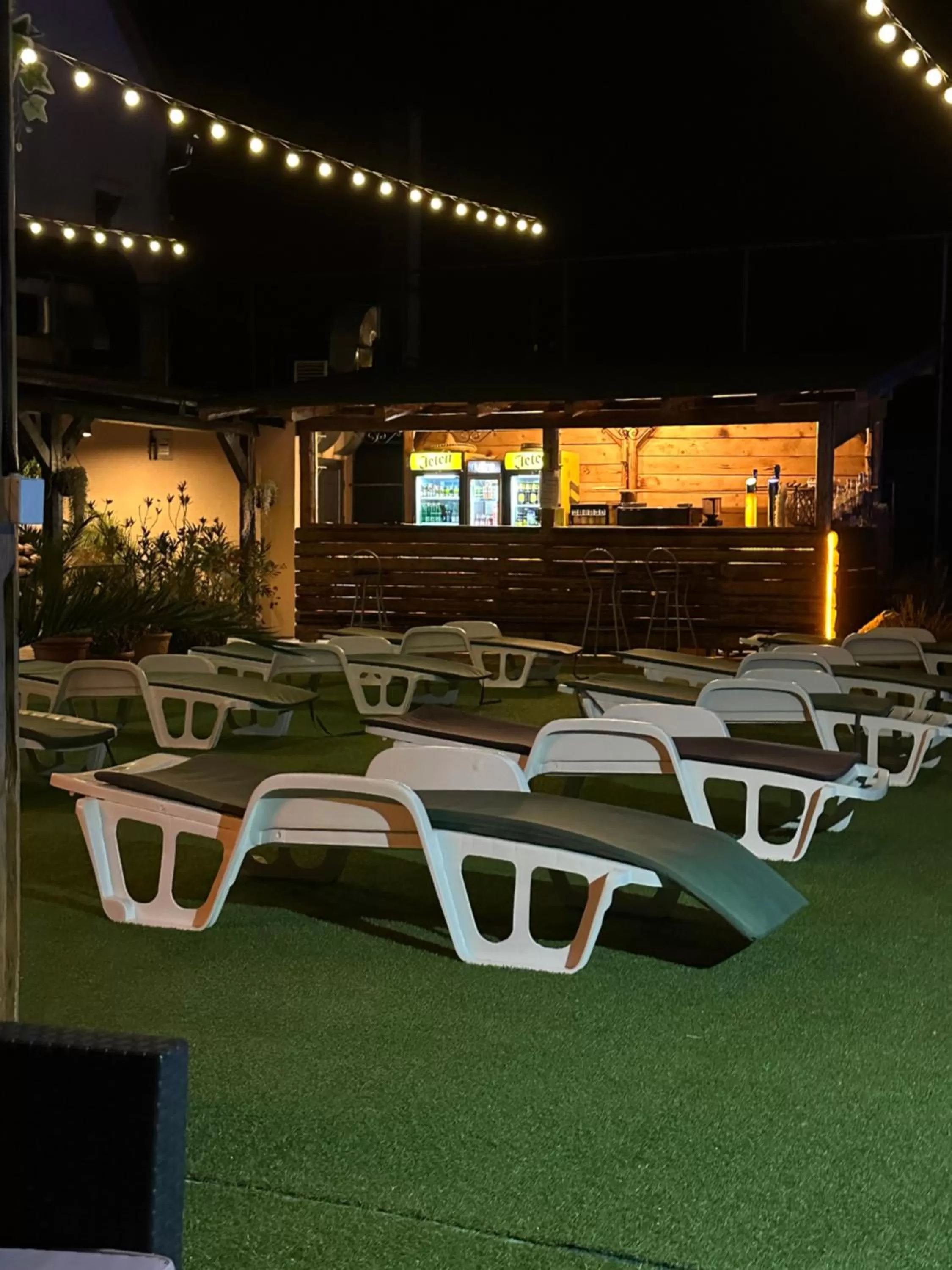 Swimming Pool in Garden House