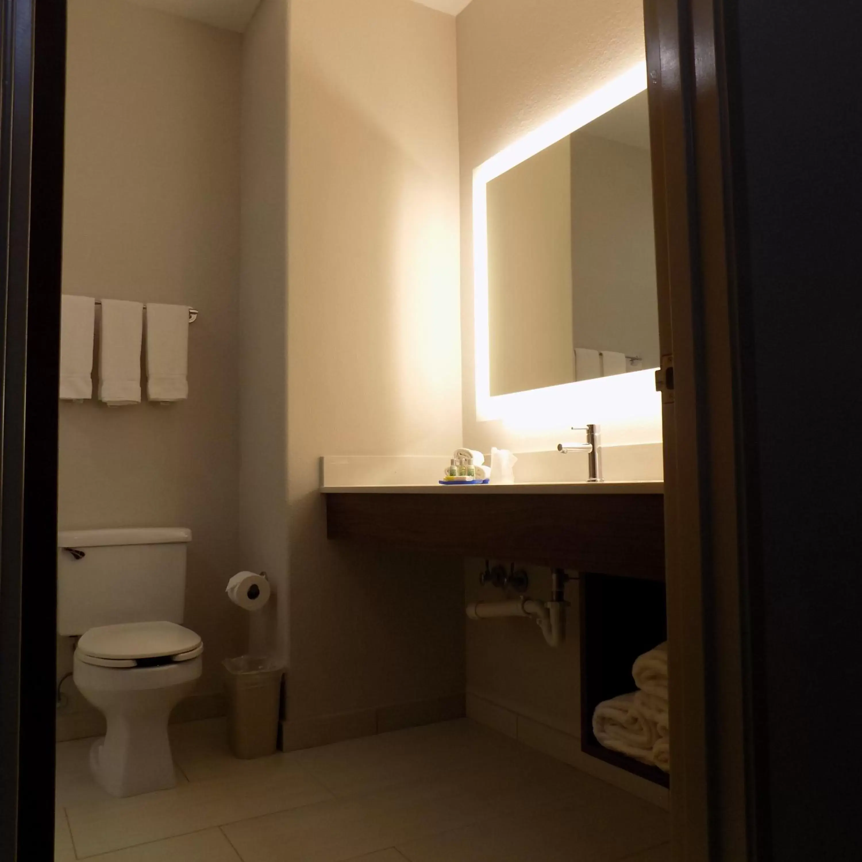 Bedroom, Bathroom in Holiday Inn Express Hotel & Suites Mission-McAllen Area, an IHG Hotel