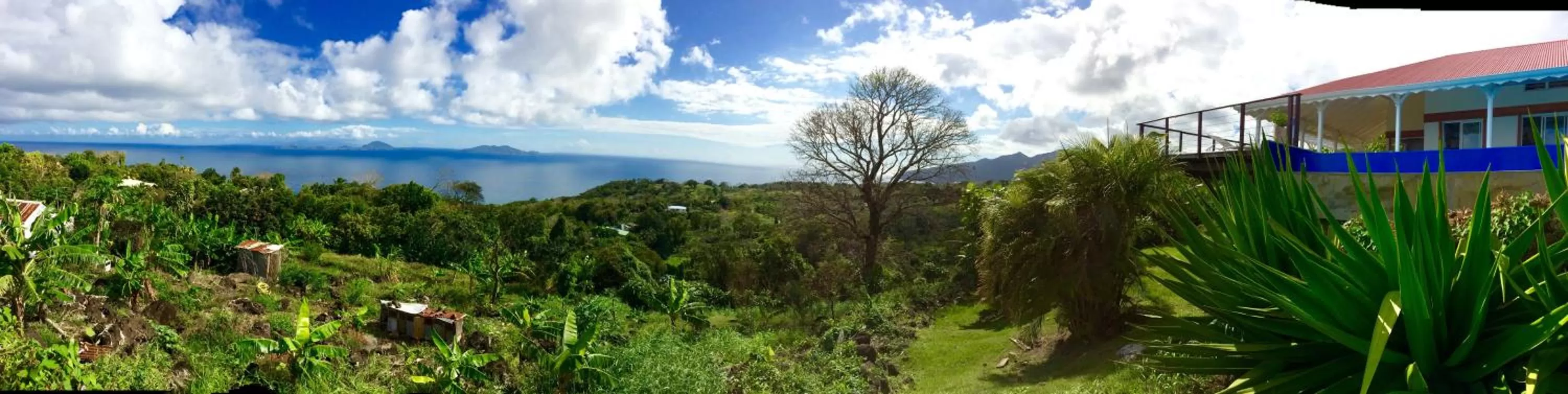 Day in Villa Cajou chambres d'hôtes chez l'habitant et Zanzibar cottage