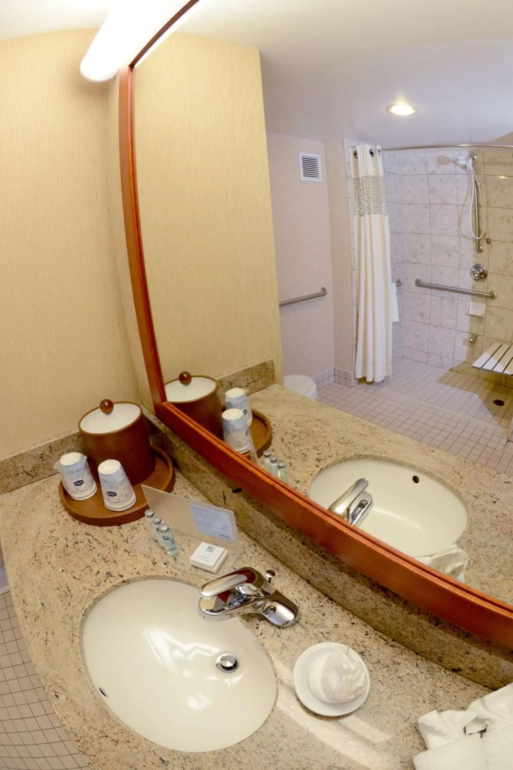 Bathroom in Hampton Inn & Suites by Hilton Windsor