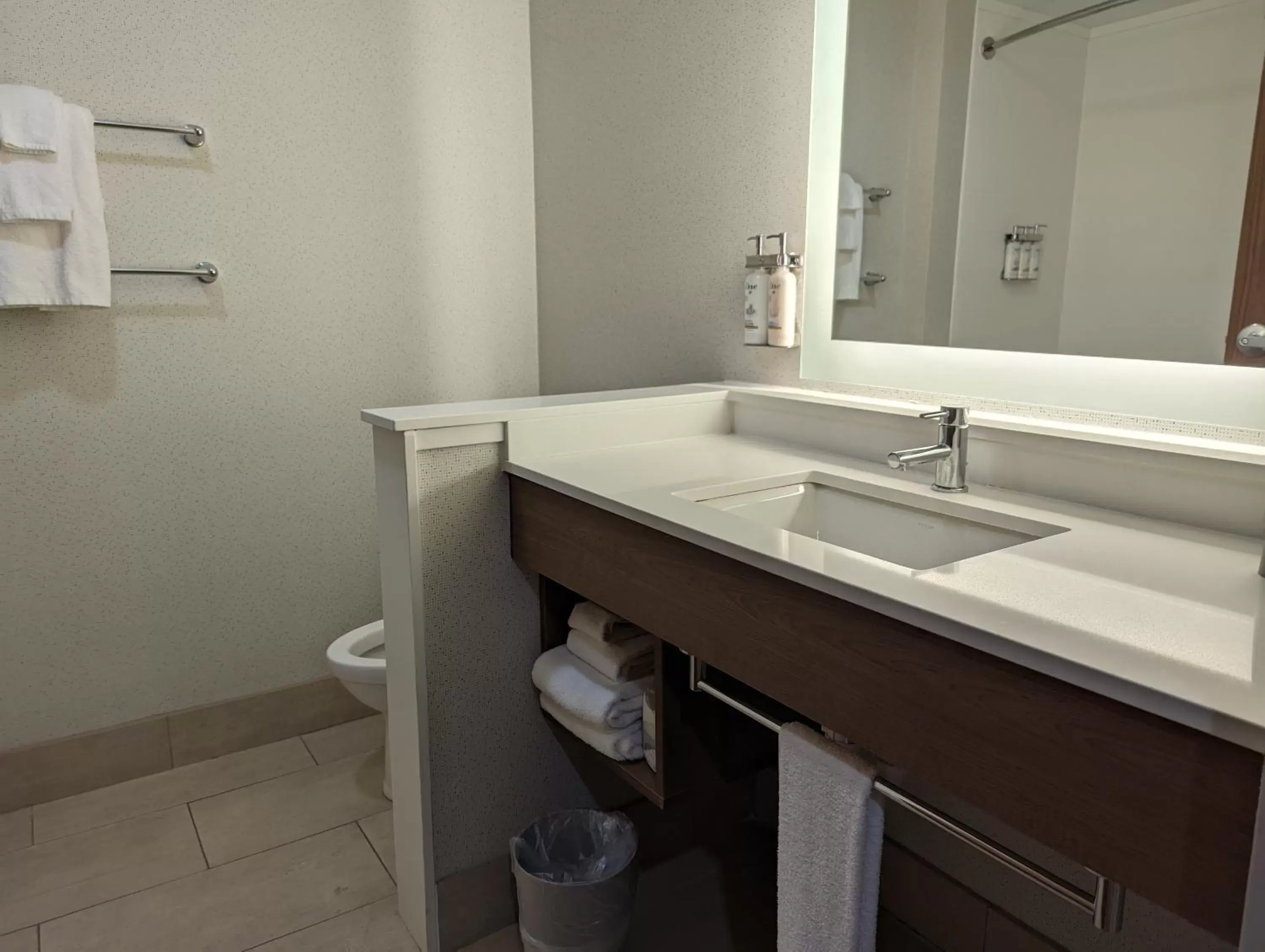 Bathroom in Holiday Inn Express - Lexington East - Winchester, an IHG Hotel