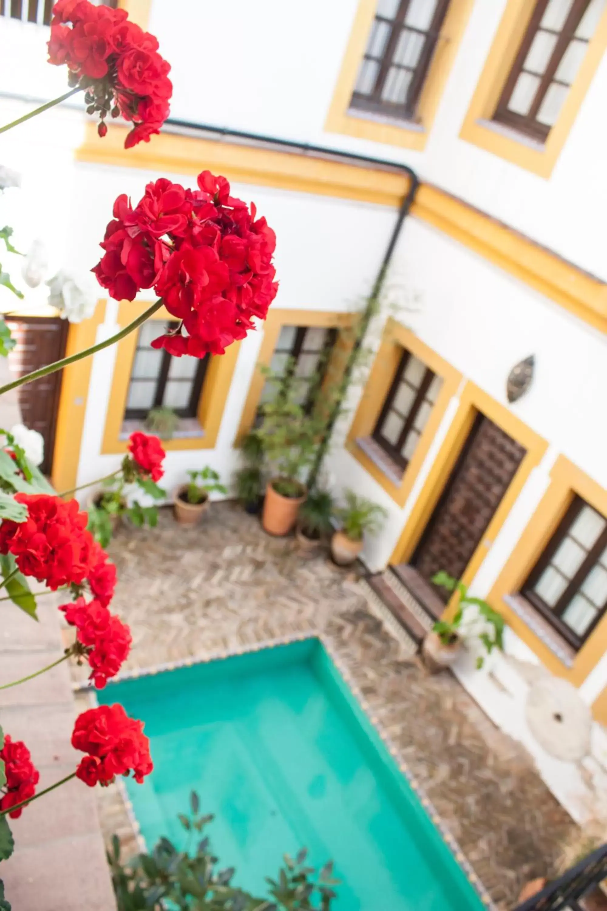 Garden, Pool View in Hotel Casa Imperial