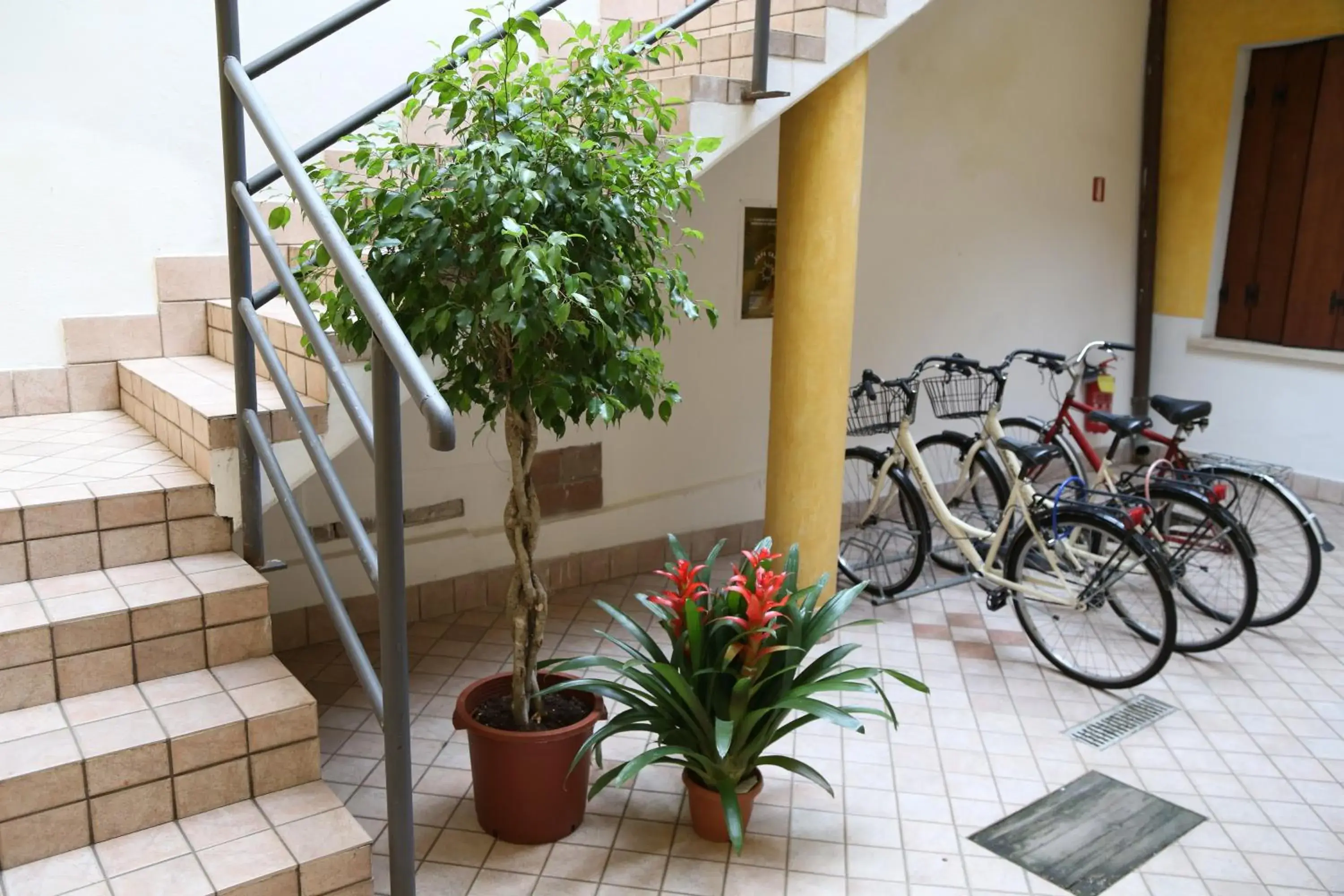 Area and facilities in Hotel Mantegna Stazione