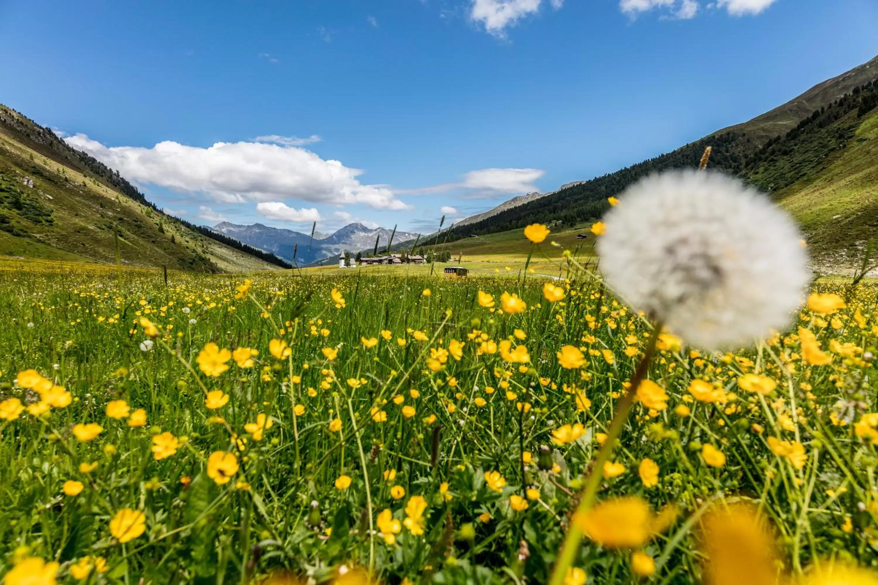 Natural landscape in Hotel Sport Klosters