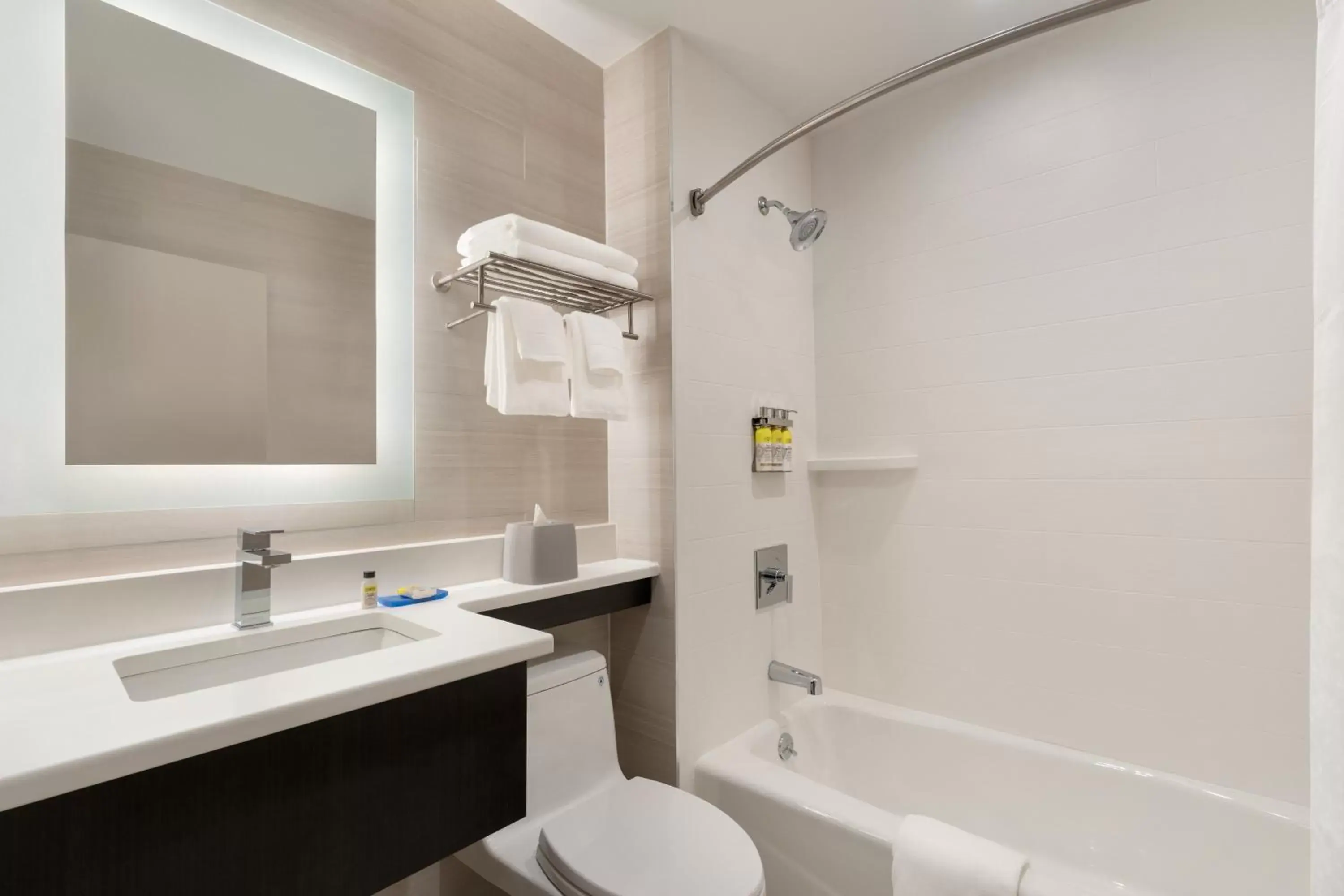 Photo of the whole room, Bathroom in Holiday Inn Express - Jamaica - JFK AirTrain - NYC, an IHG Hotel