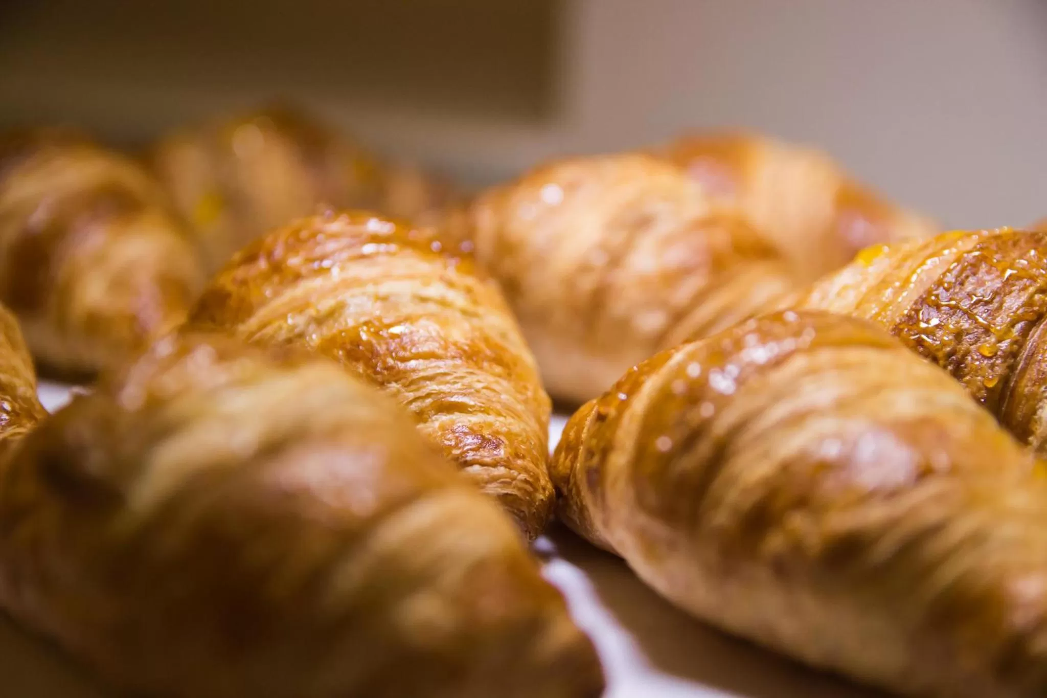 Buffet breakfast in Halo Boutique Hotel