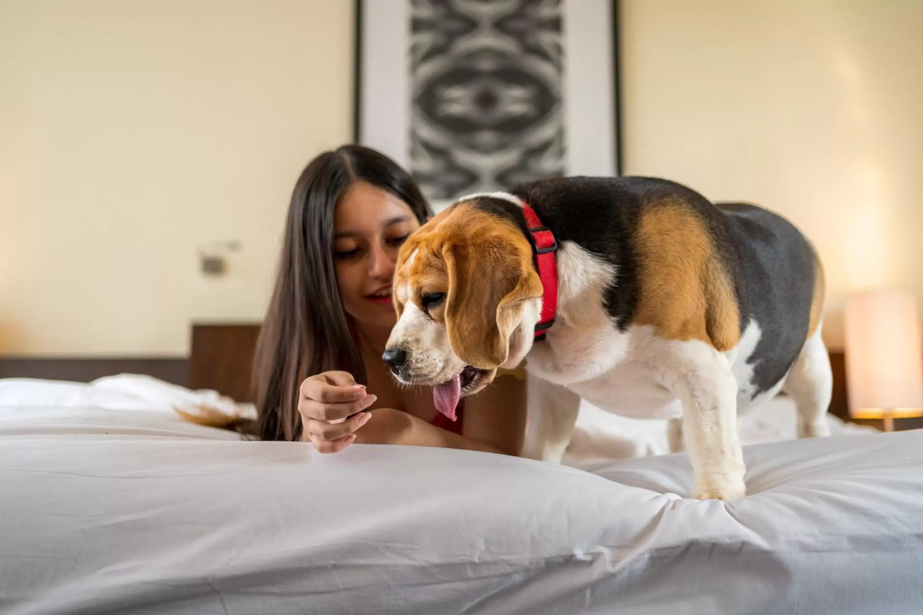 Pets in Hyatt Hyderabad Gachibowli