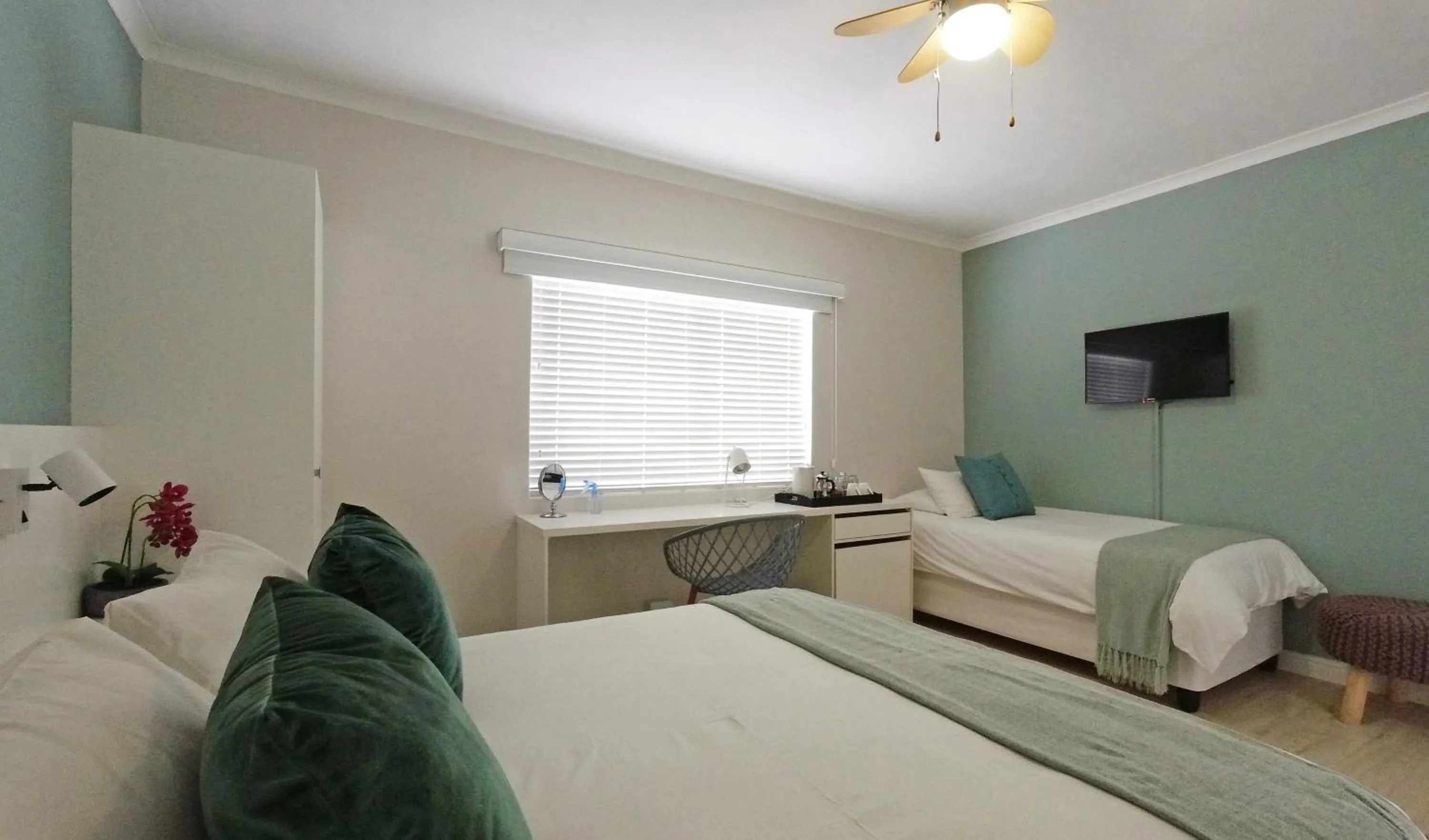 Bed in Dolphin Inn Guesthouse