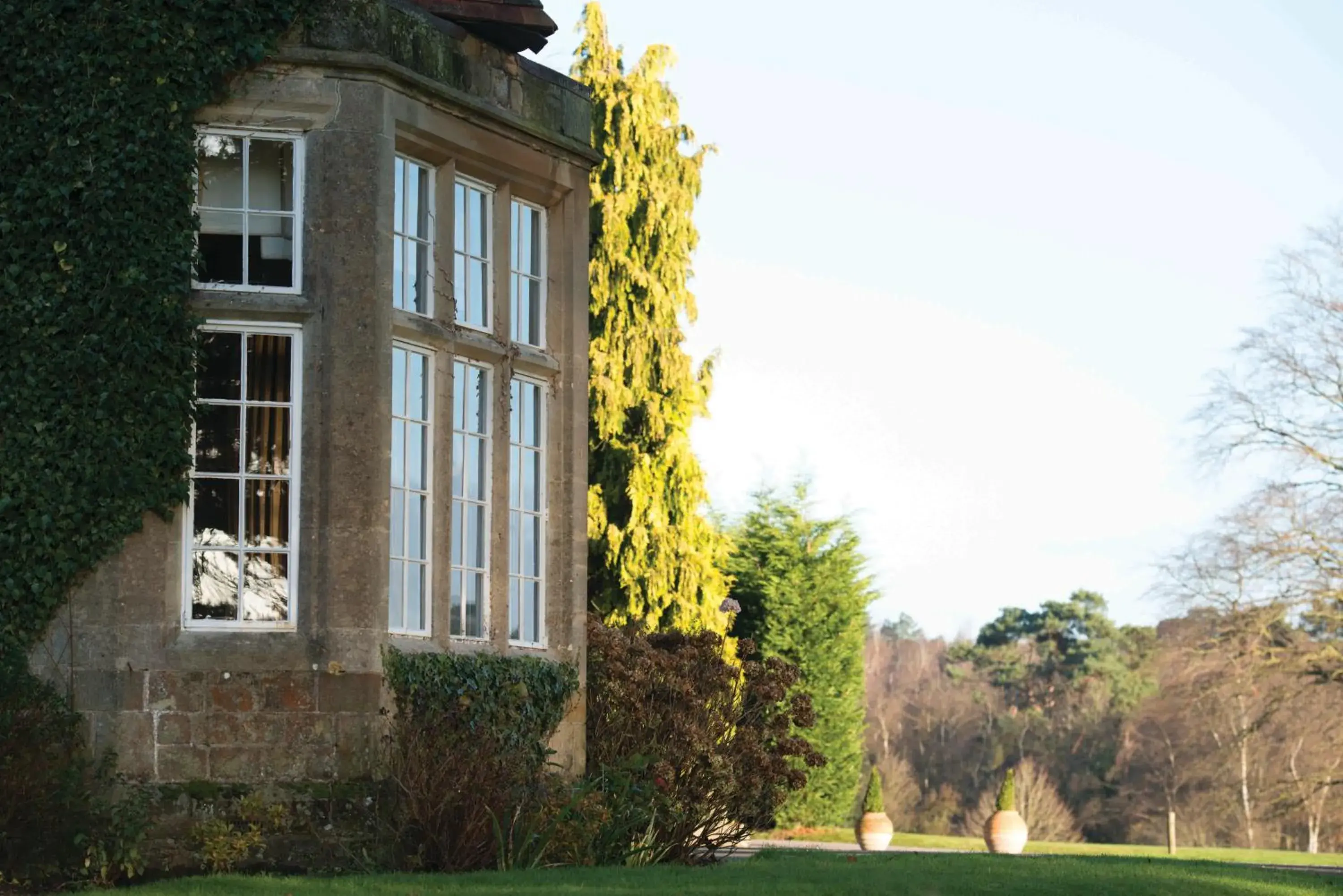 Property Building in Champneys Forest Mere