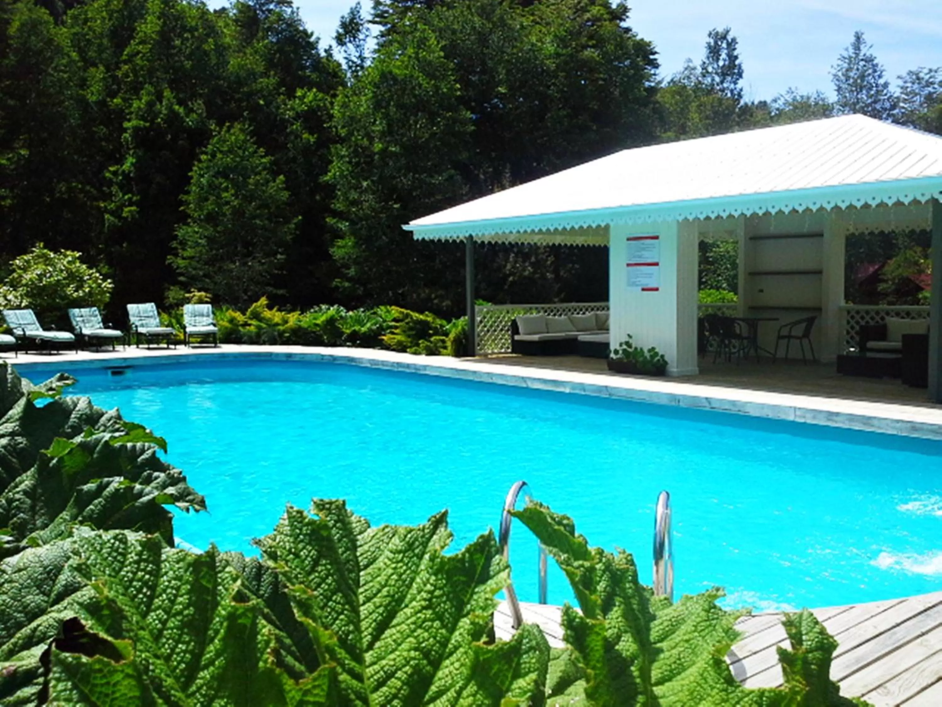 Swimming Pool in Hotel Salto del Carileufu