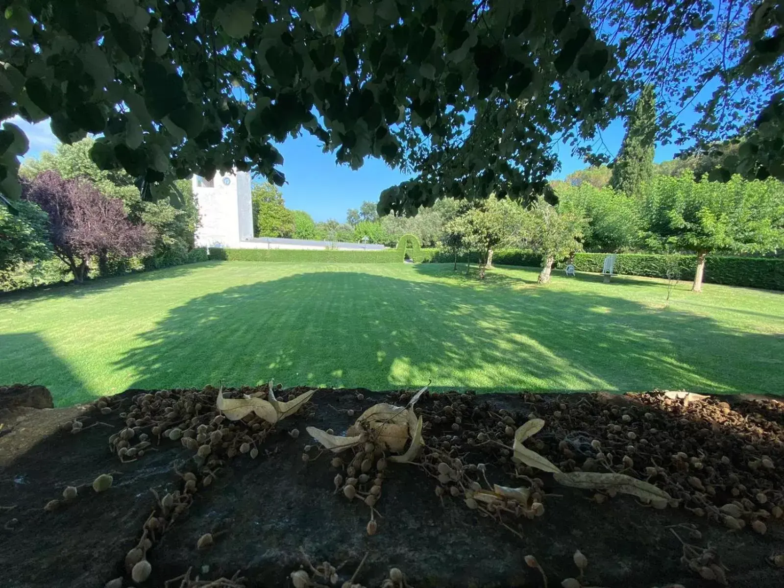 Patio in Casa Santa Elena