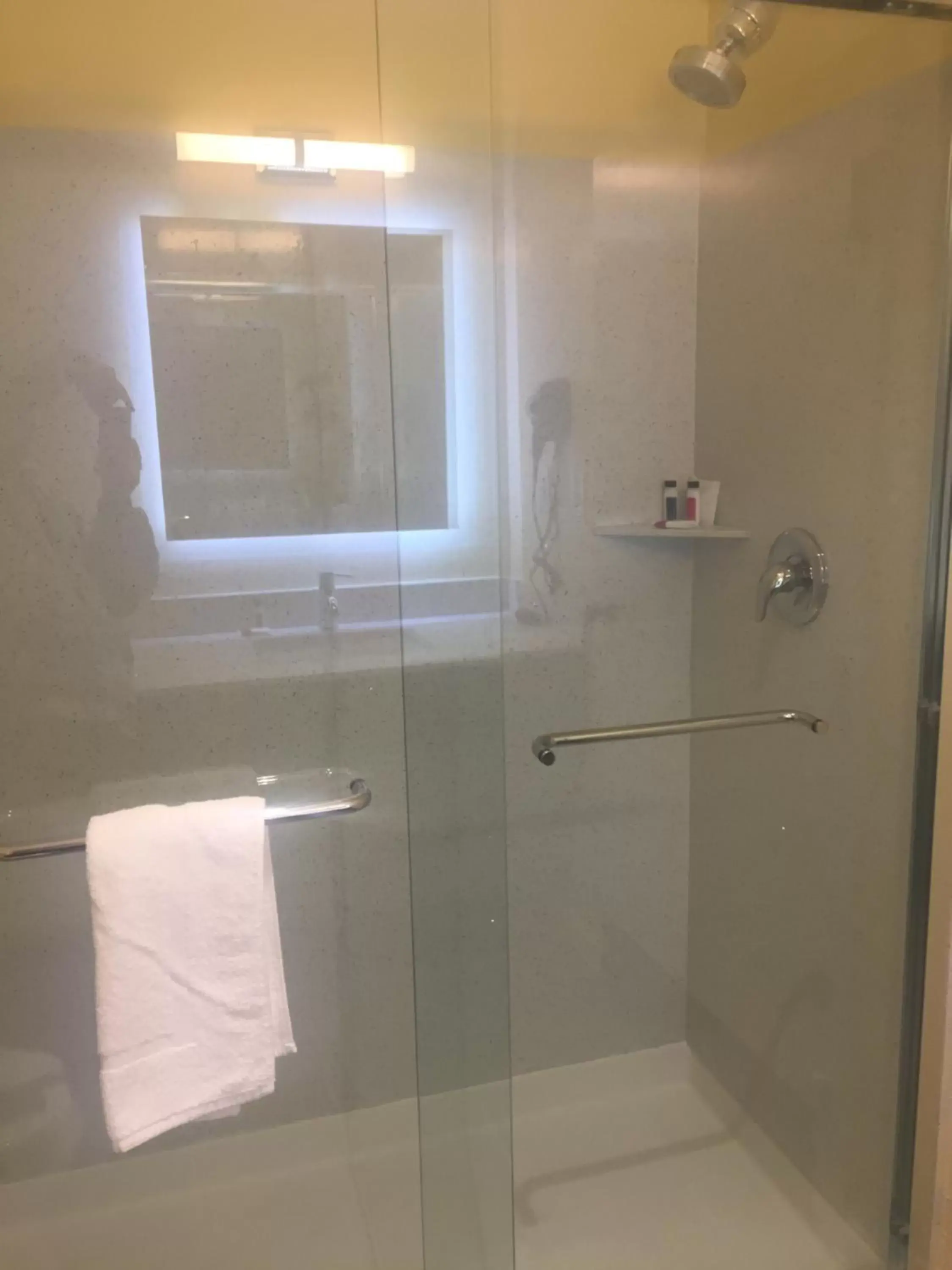 Shower, Bathroom in Days Inn by Wyndham Freeport