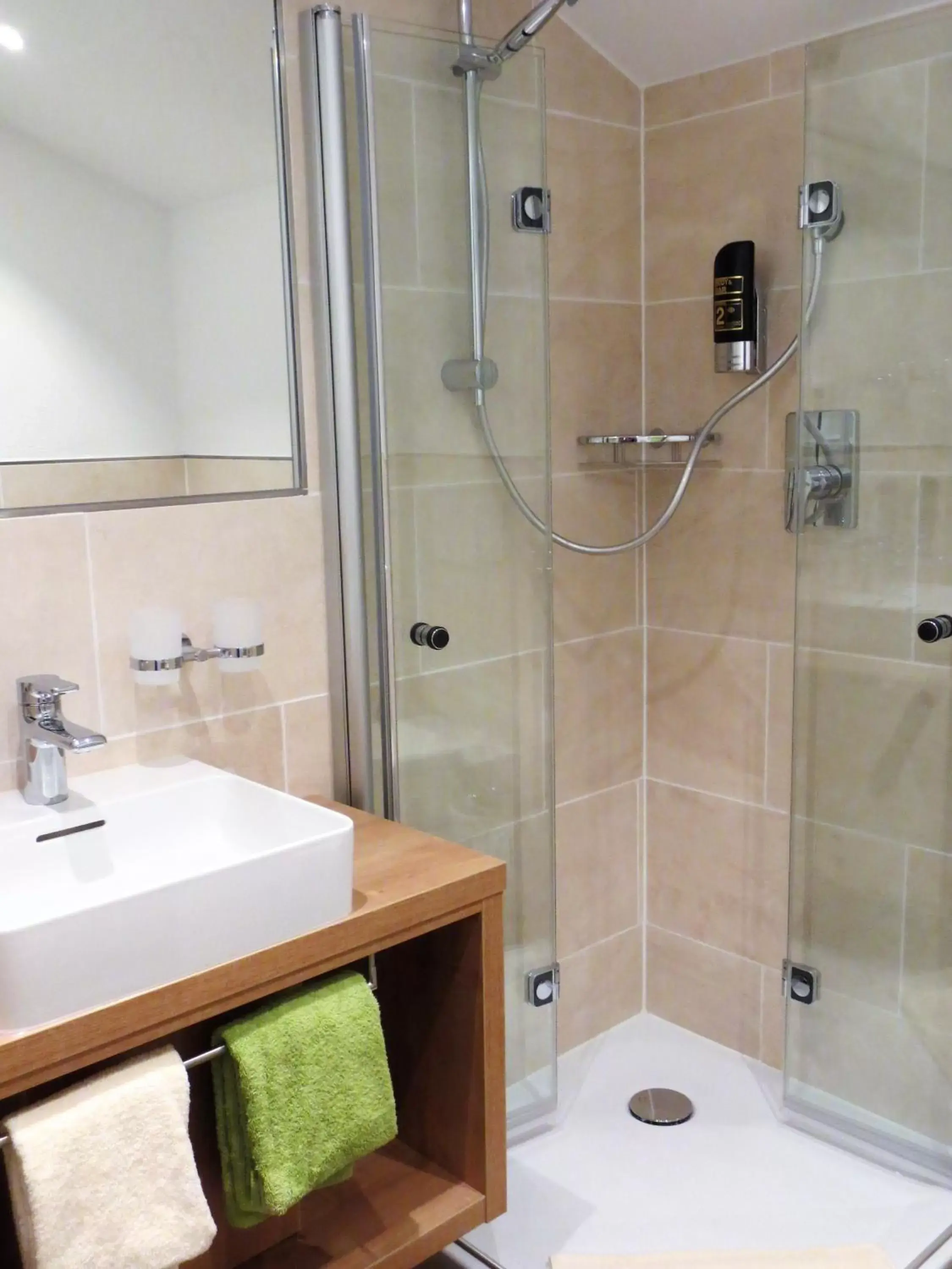 Shower, Bathroom in Hotel Alp Inn