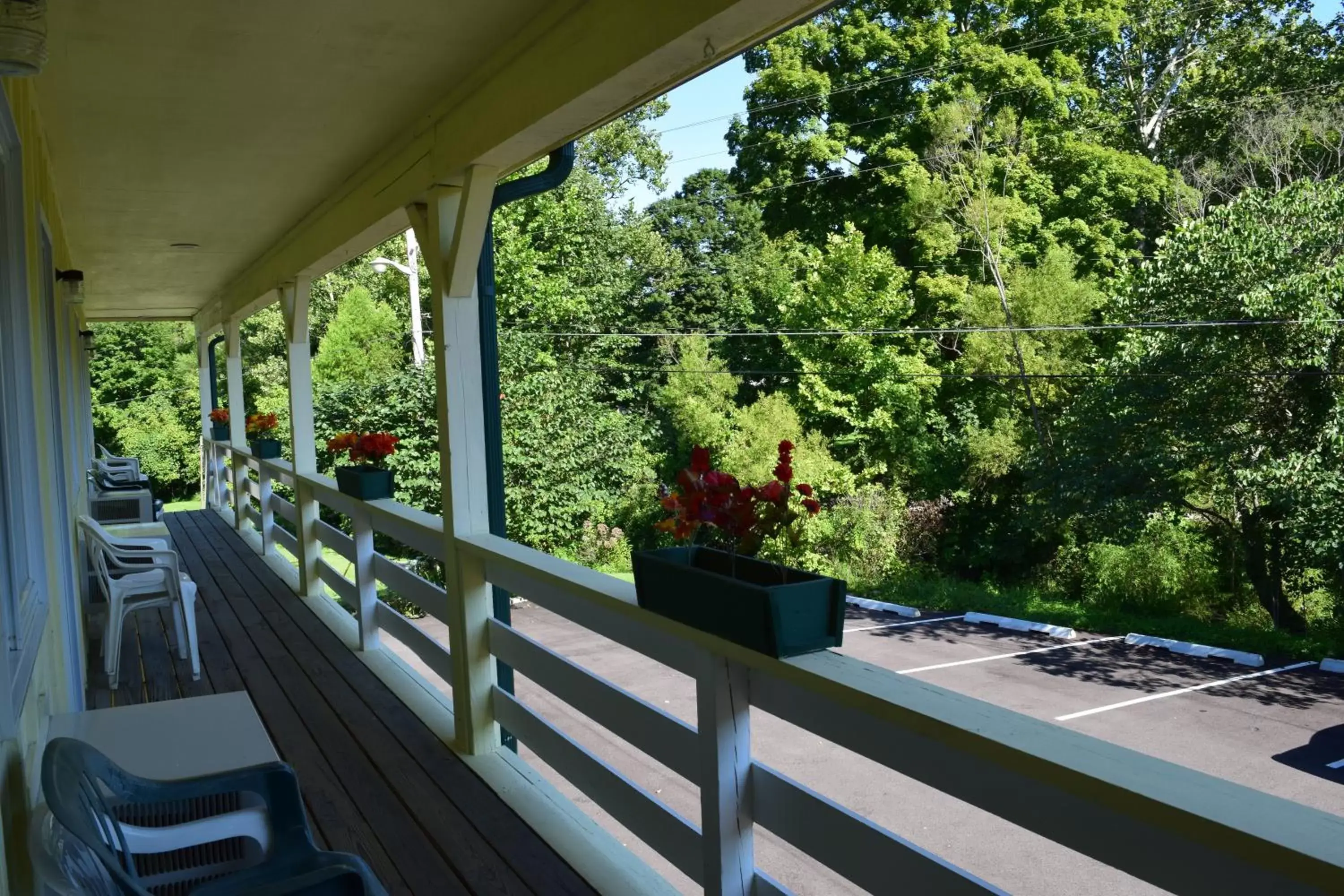 Balcony/Terrace in Green Valley Motor Lodge