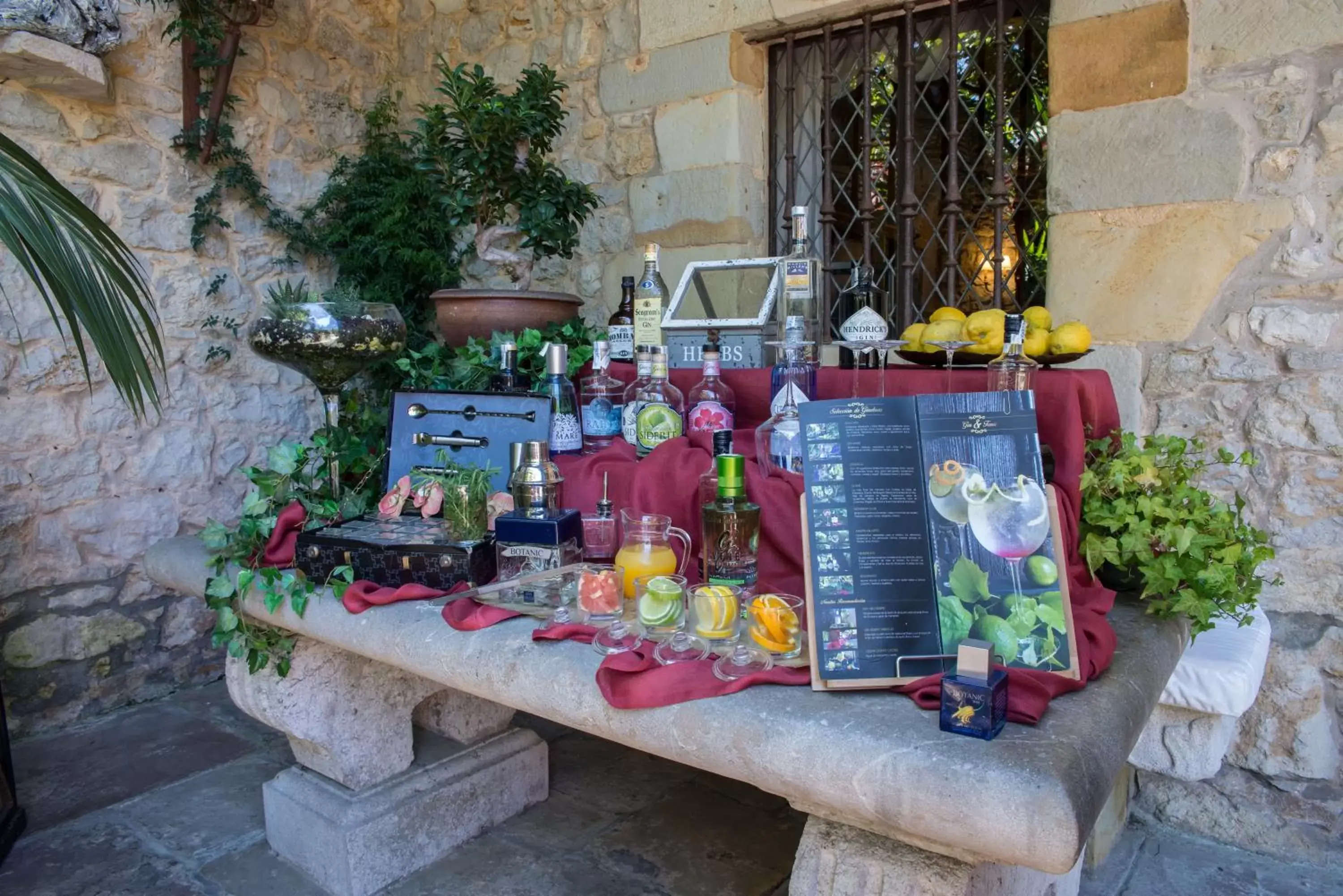 Garden in Hotel Casa del Marqués