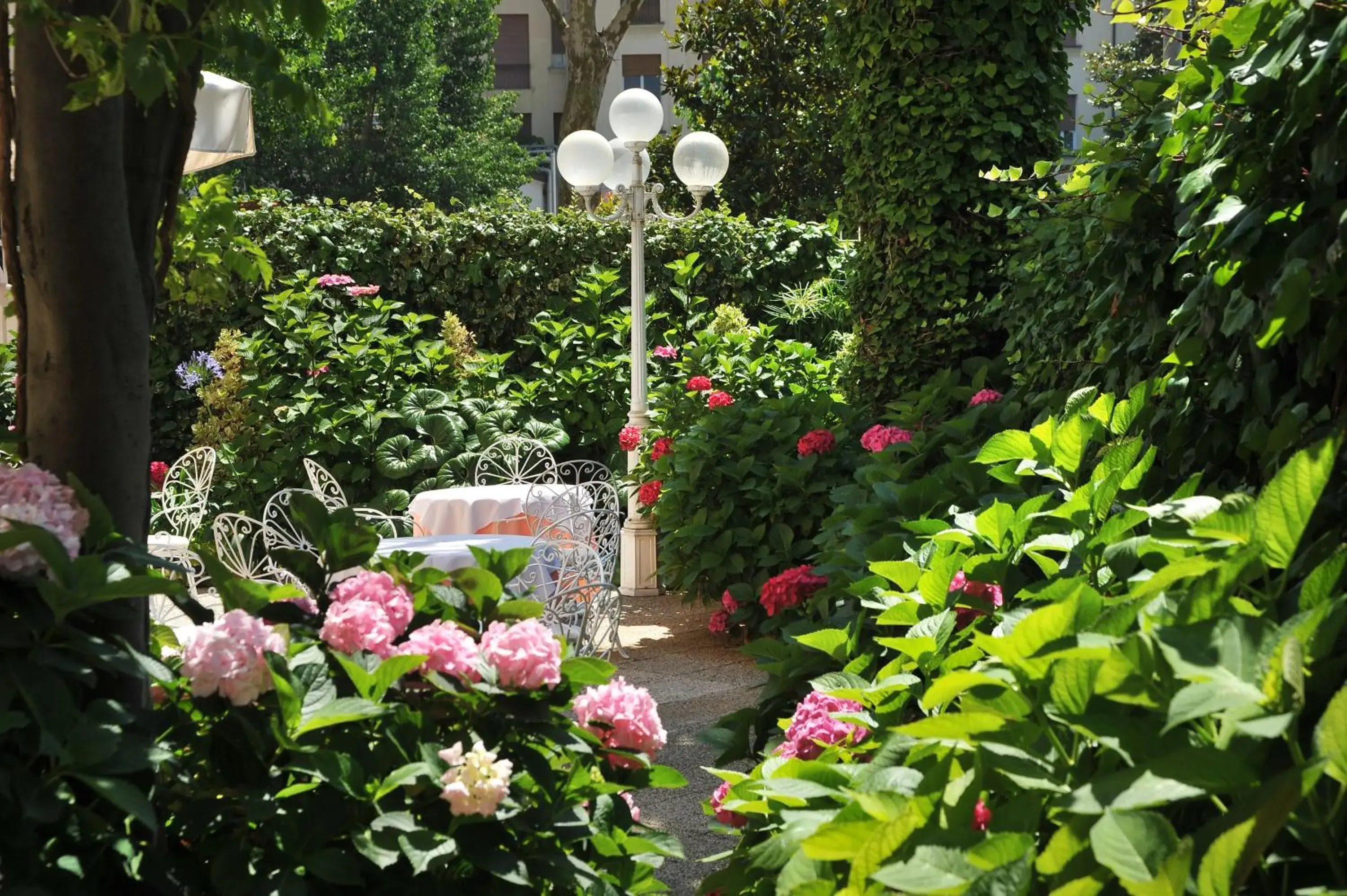Garden in Hotel Milton