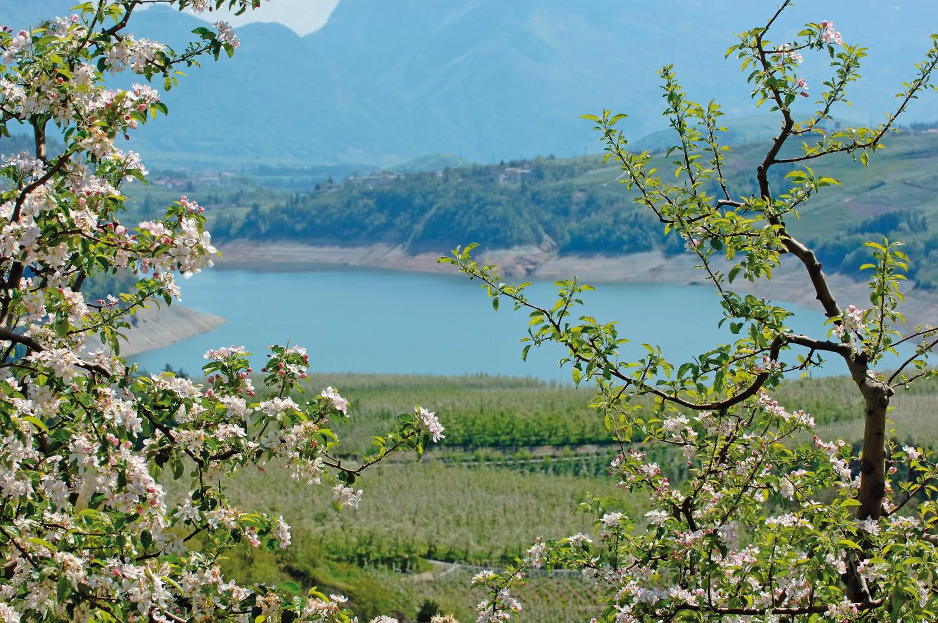 Spring in Albergo Tuenno