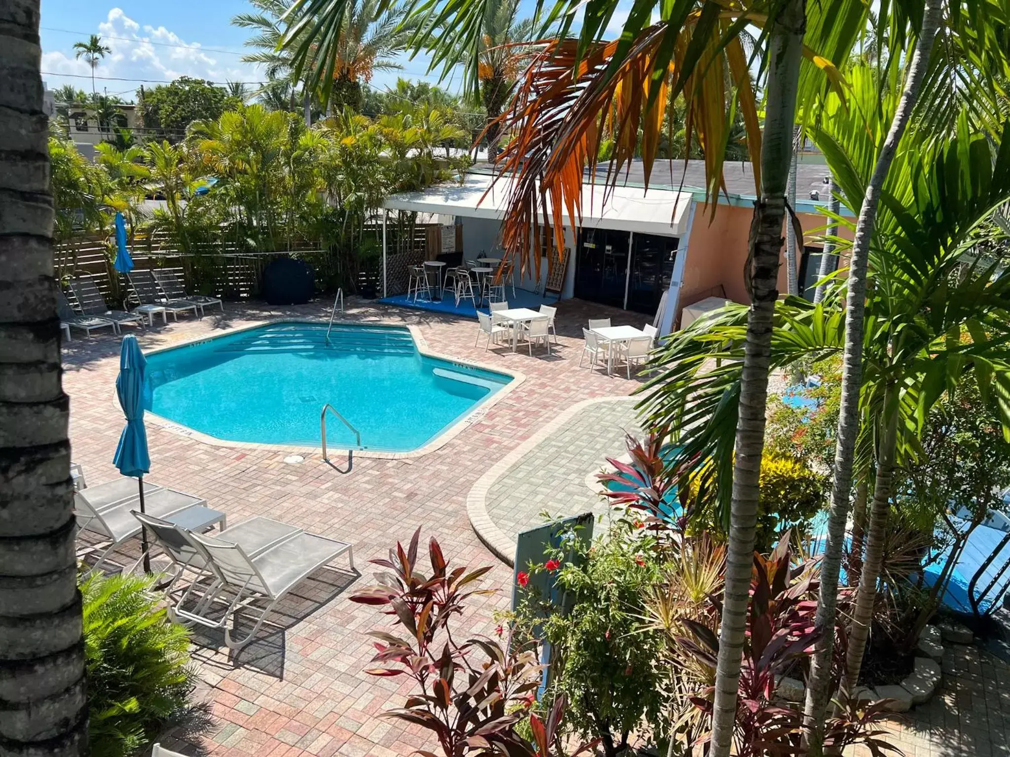 View (from property/room), Swimming Pool in Victoria Park Hotel