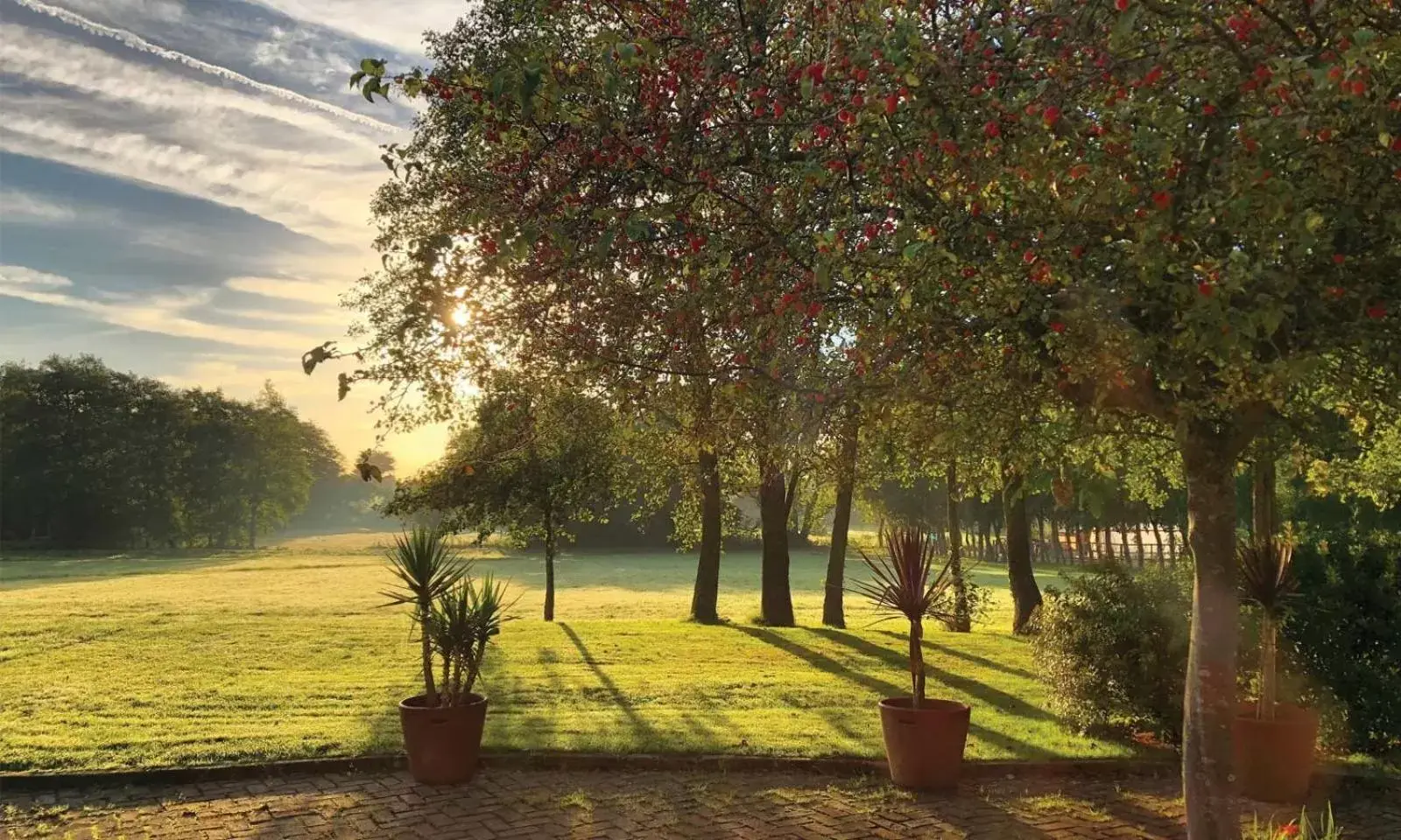 Garden in Crouchers Hotel