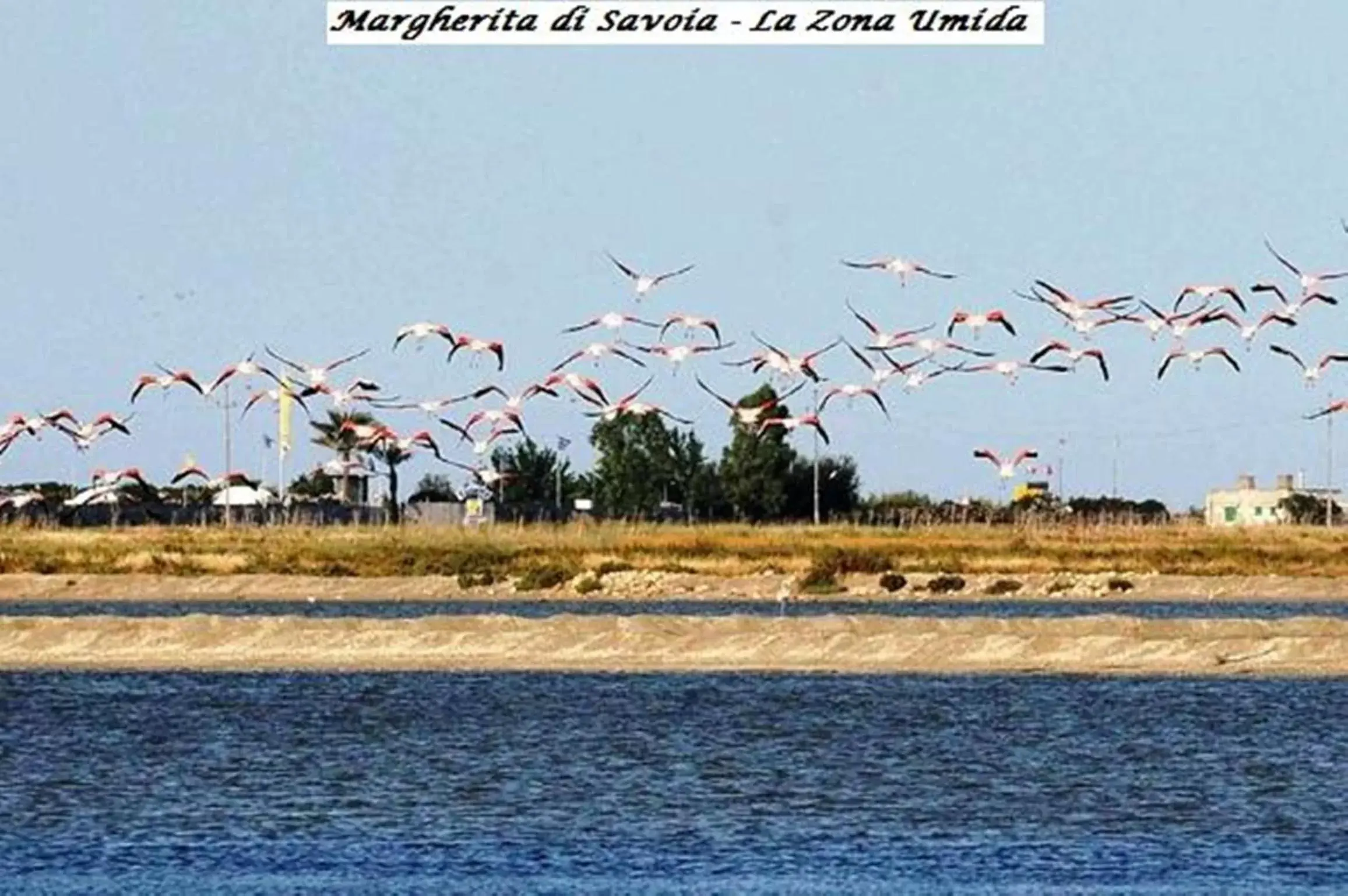 Other, Other Animals in Hotel Tenuta San Francesco