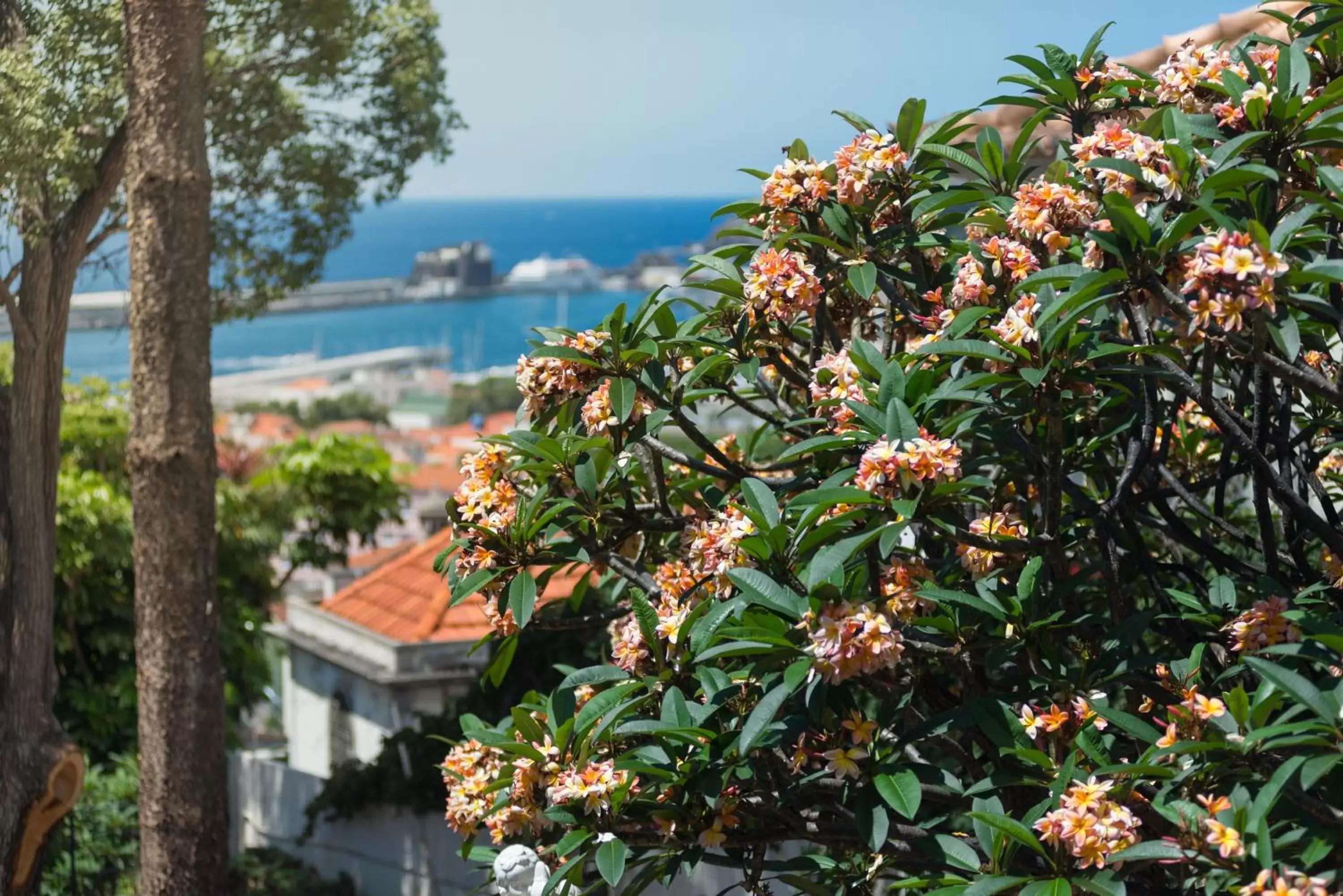 Sea View in ARTS IN Hotel Conde Carvalhal