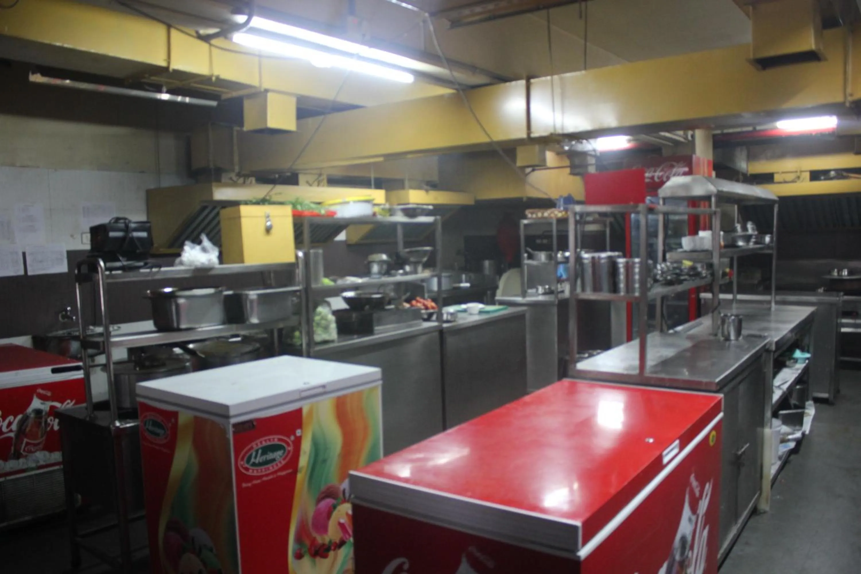 Kitchen or kitchenette in Hotel Winsar Park