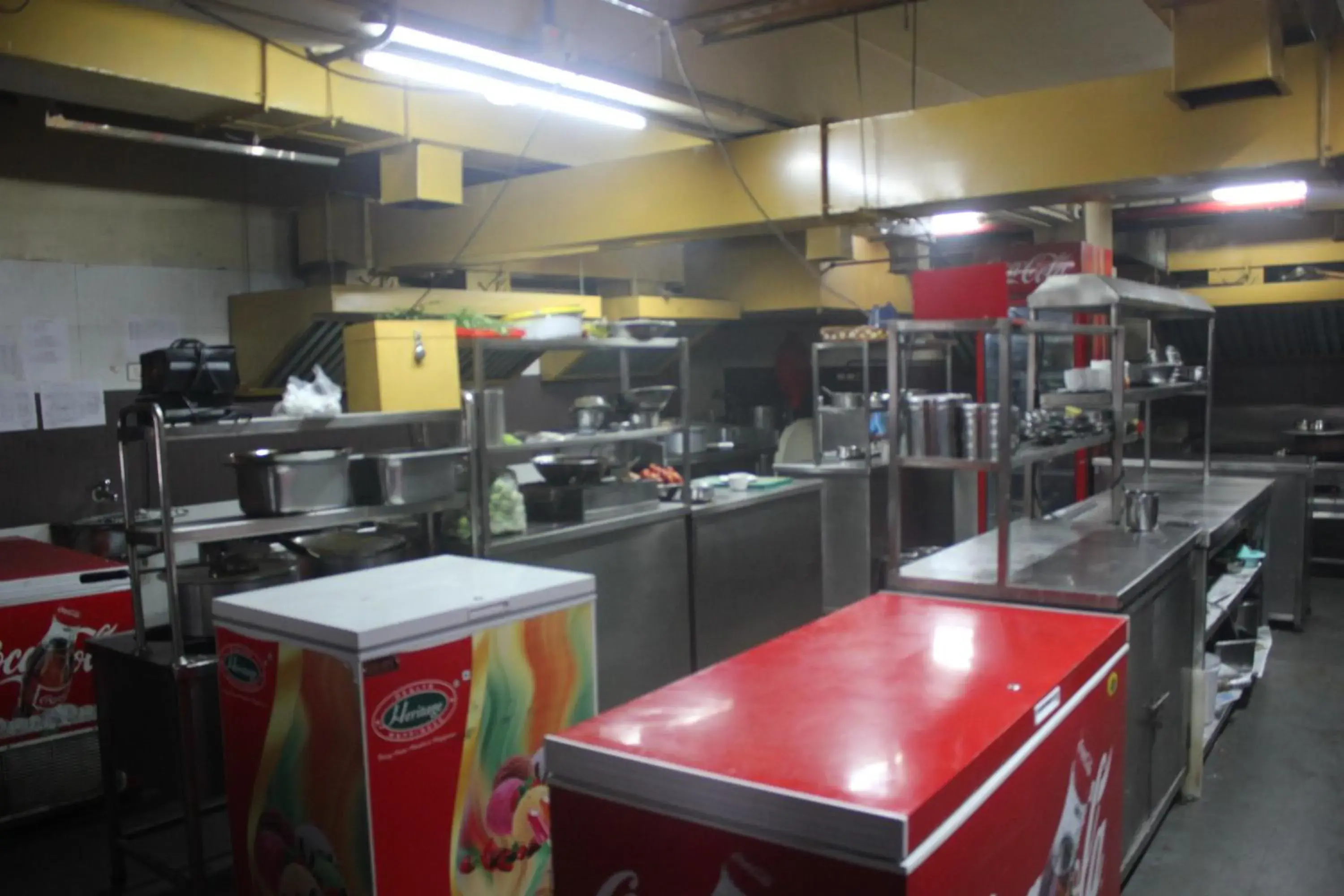 Kitchen or kitchenette, Restaurant/Places to Eat in Hotel Winsar Park